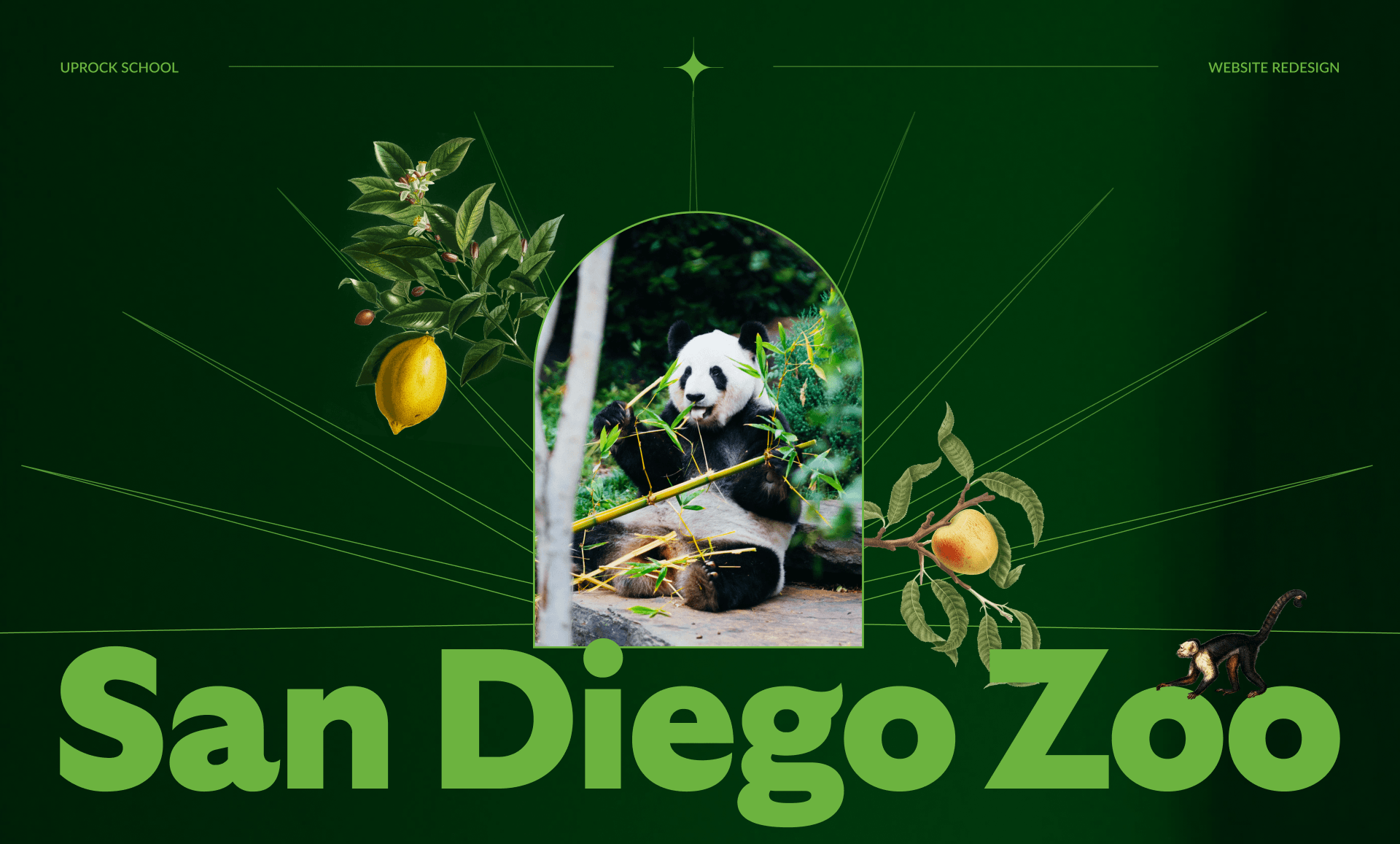 San Diego Zoo — Изображение №1 — Интерфейсы на Dprofile