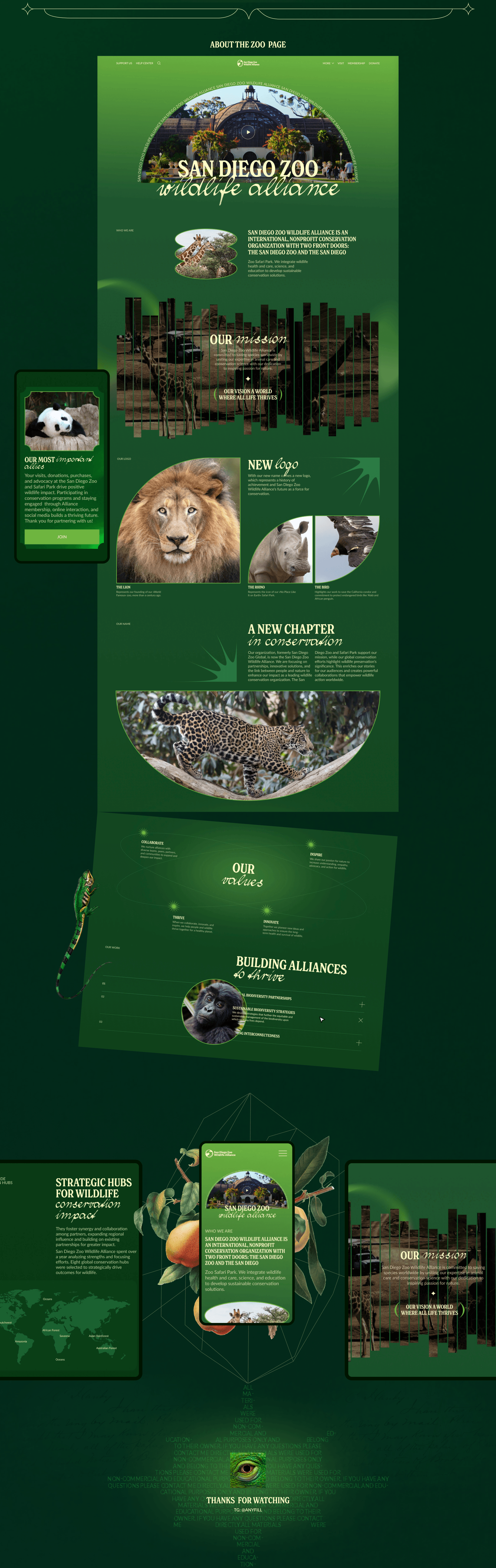 San Diego Zoo — Изображение №6 — Интерфейсы на Dprofile
