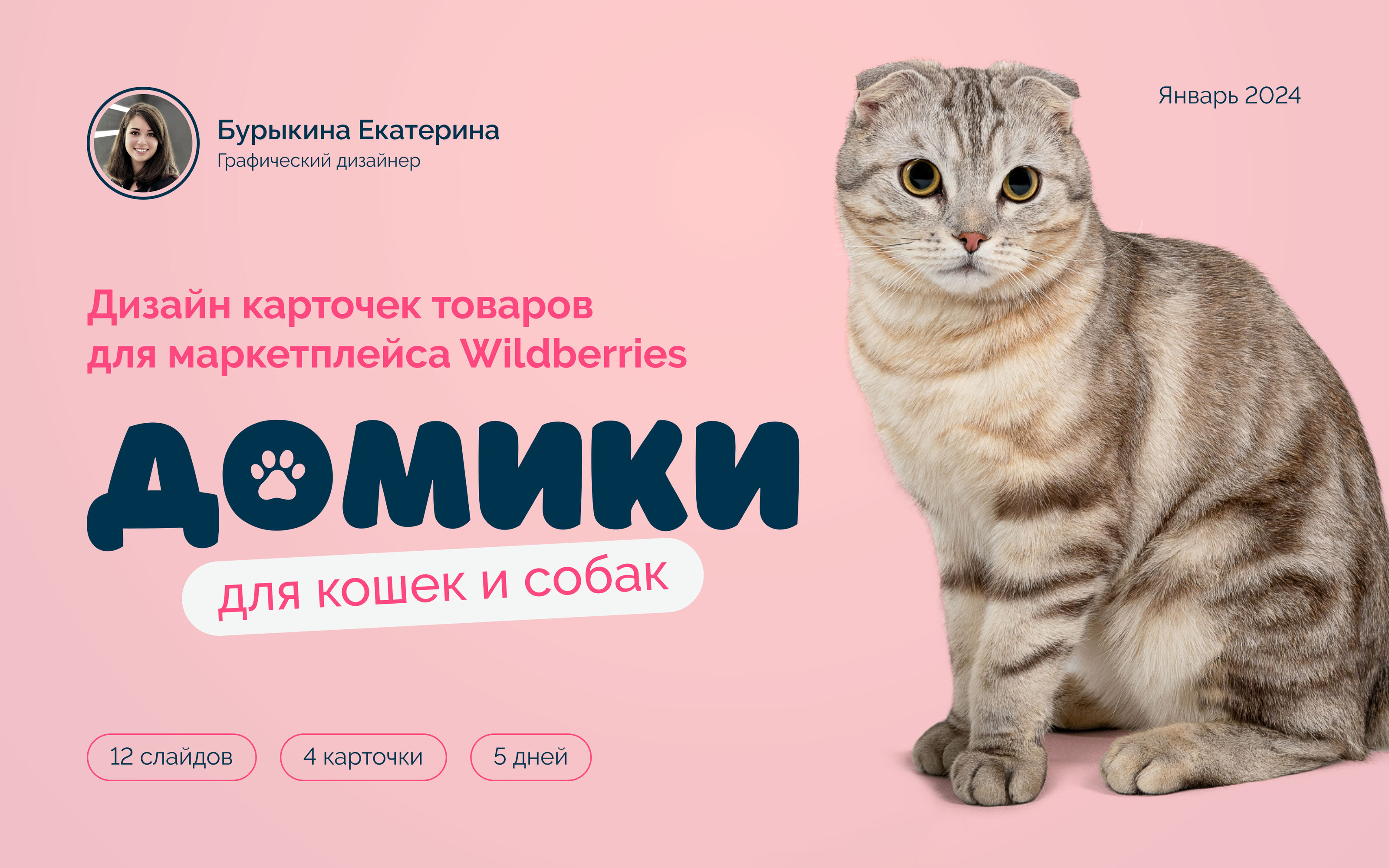 Карточка товара Wildberries. Инфографика. Маркетплейсы. — Изображение №1 — Графика, Маркетинг на Dprofile