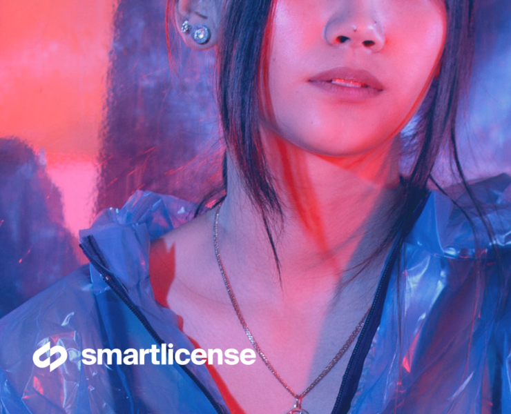 Smartlicense — Интерфейсы на Dprofile