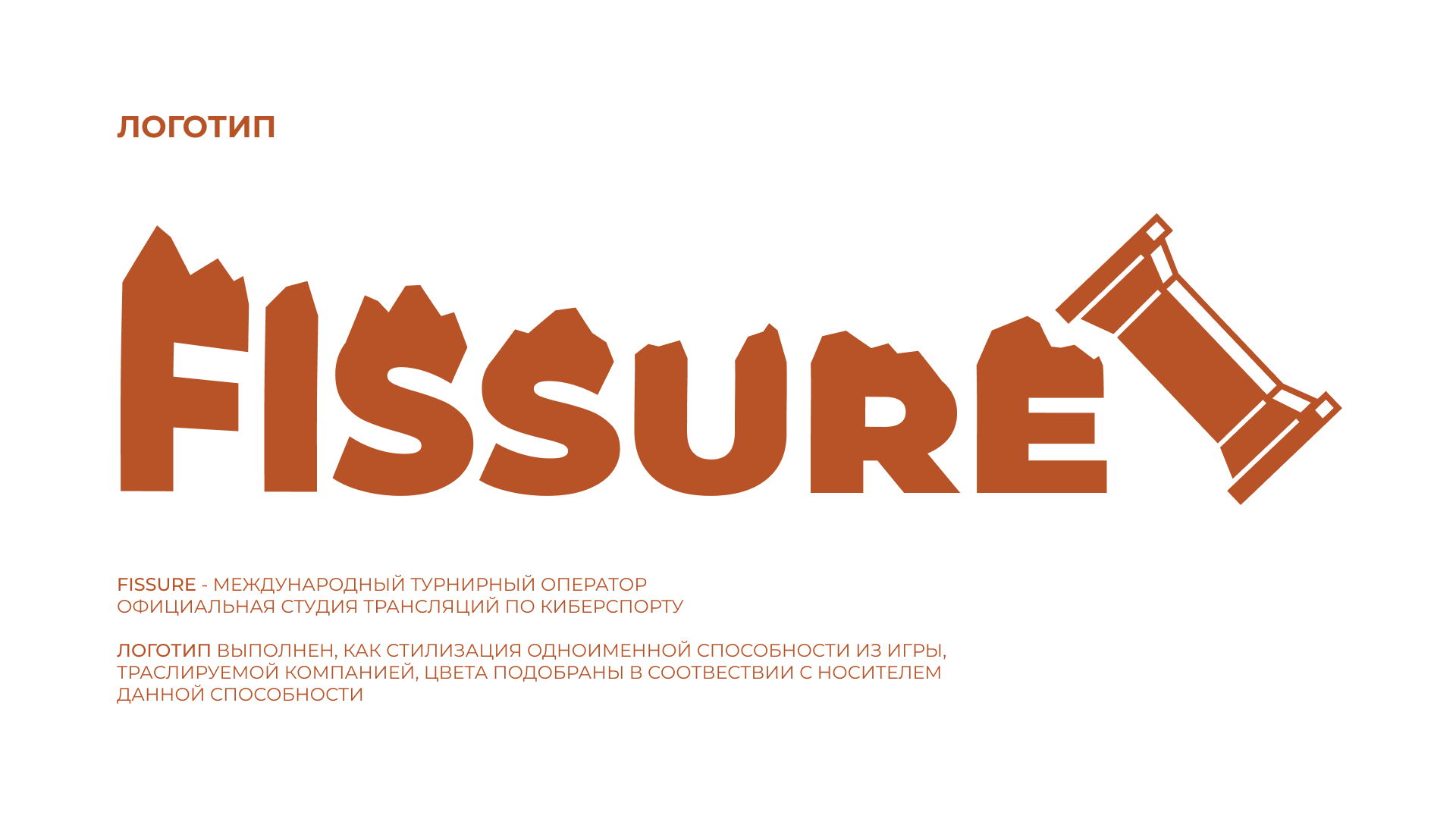 FISSURE | логотип & визуальные элементы — Изображение №2 — Брендинг на Dprofile