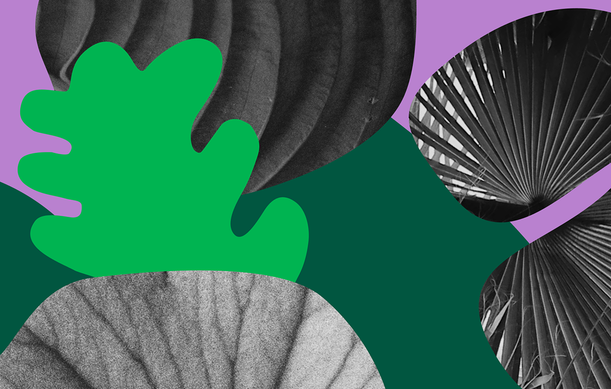 Концепция айдентики «Аптекарский огород». — Изображение №2 — Брендинг, Графика на Dprofile