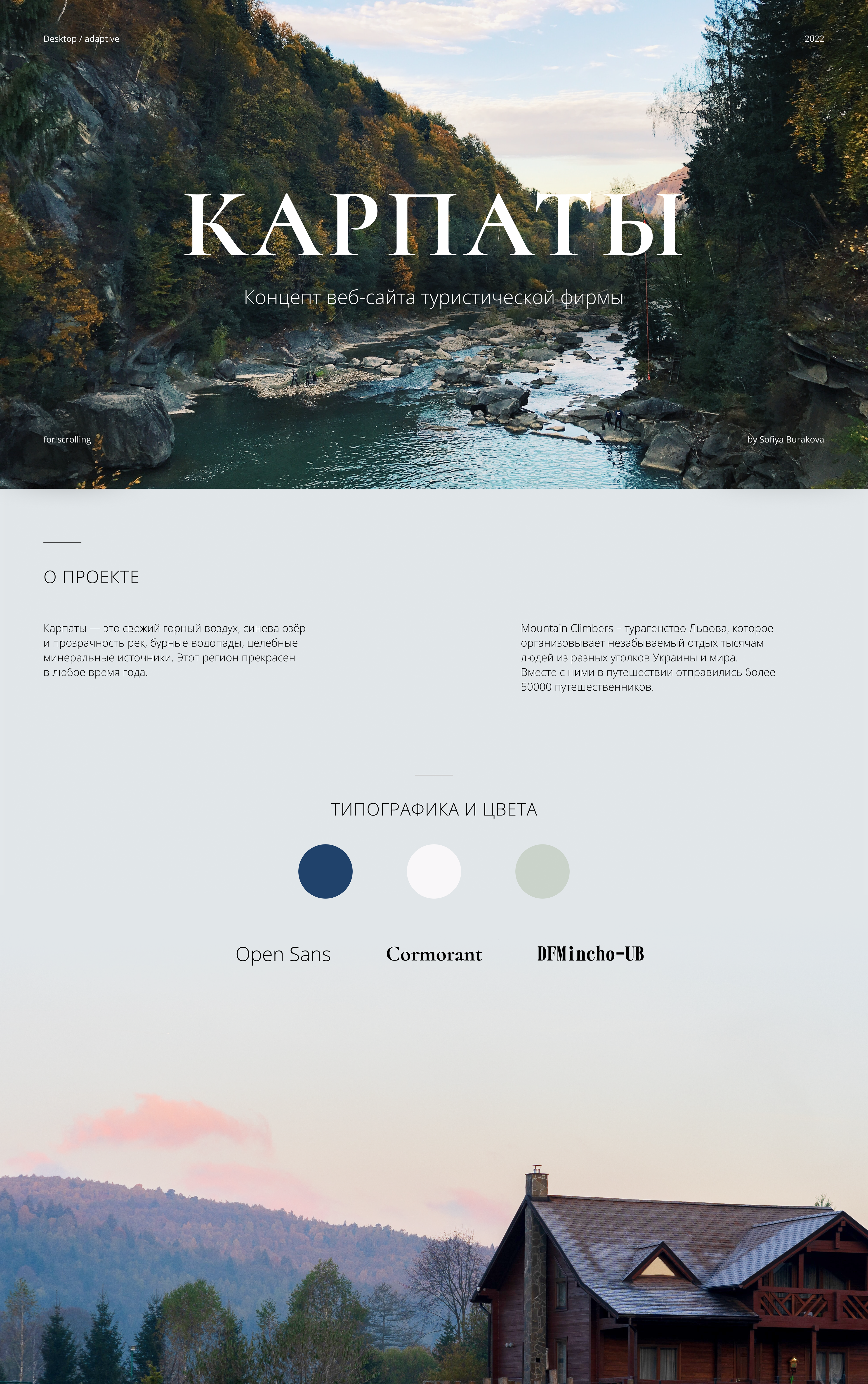 Carpathians Travel Agency — Изображение №1 — Брендинг, Интерфейсы на Dprofile