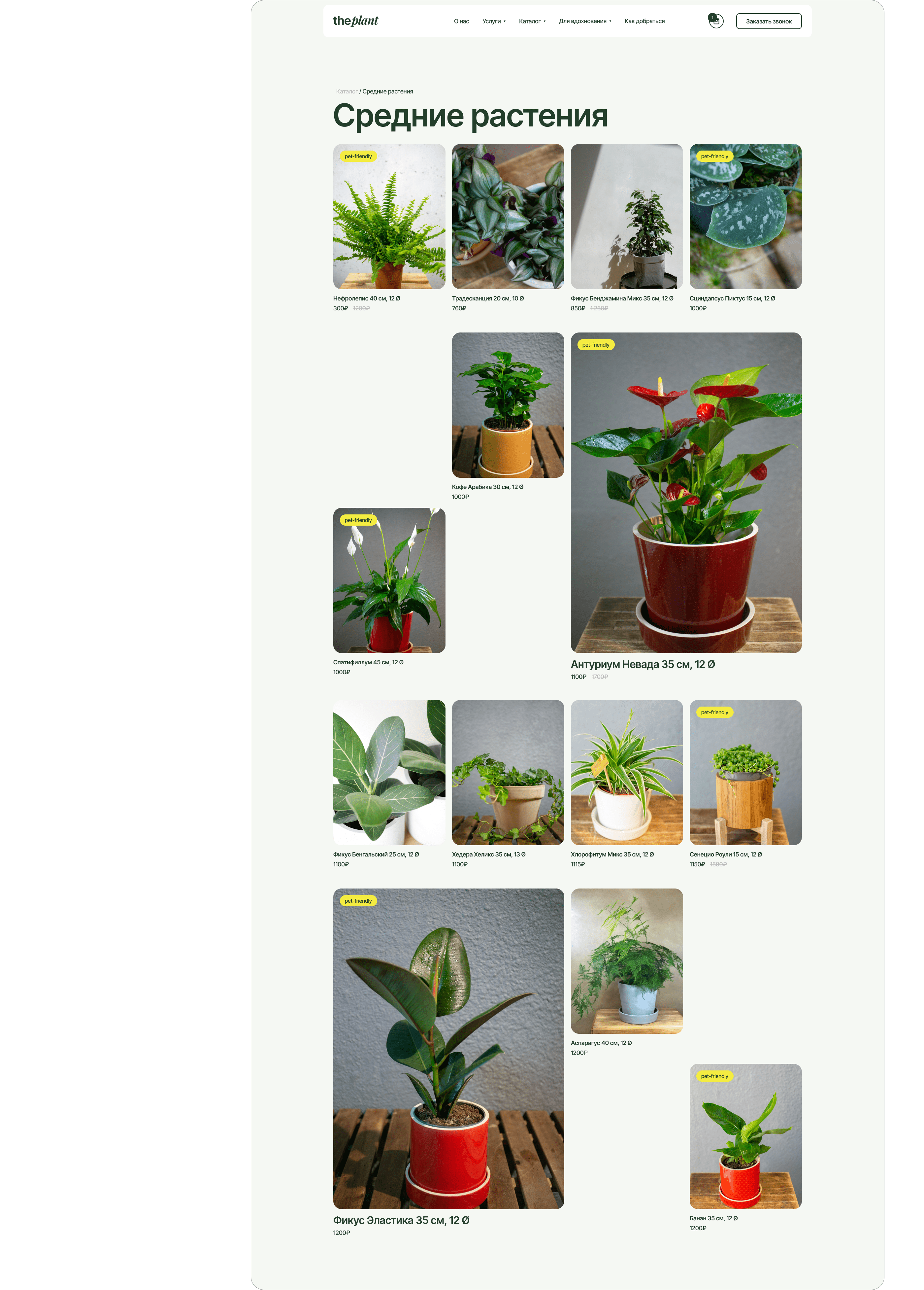 The Plants — интернет магазин комнатных растений — Изображение №7 — Интерфейсы на Dprofile