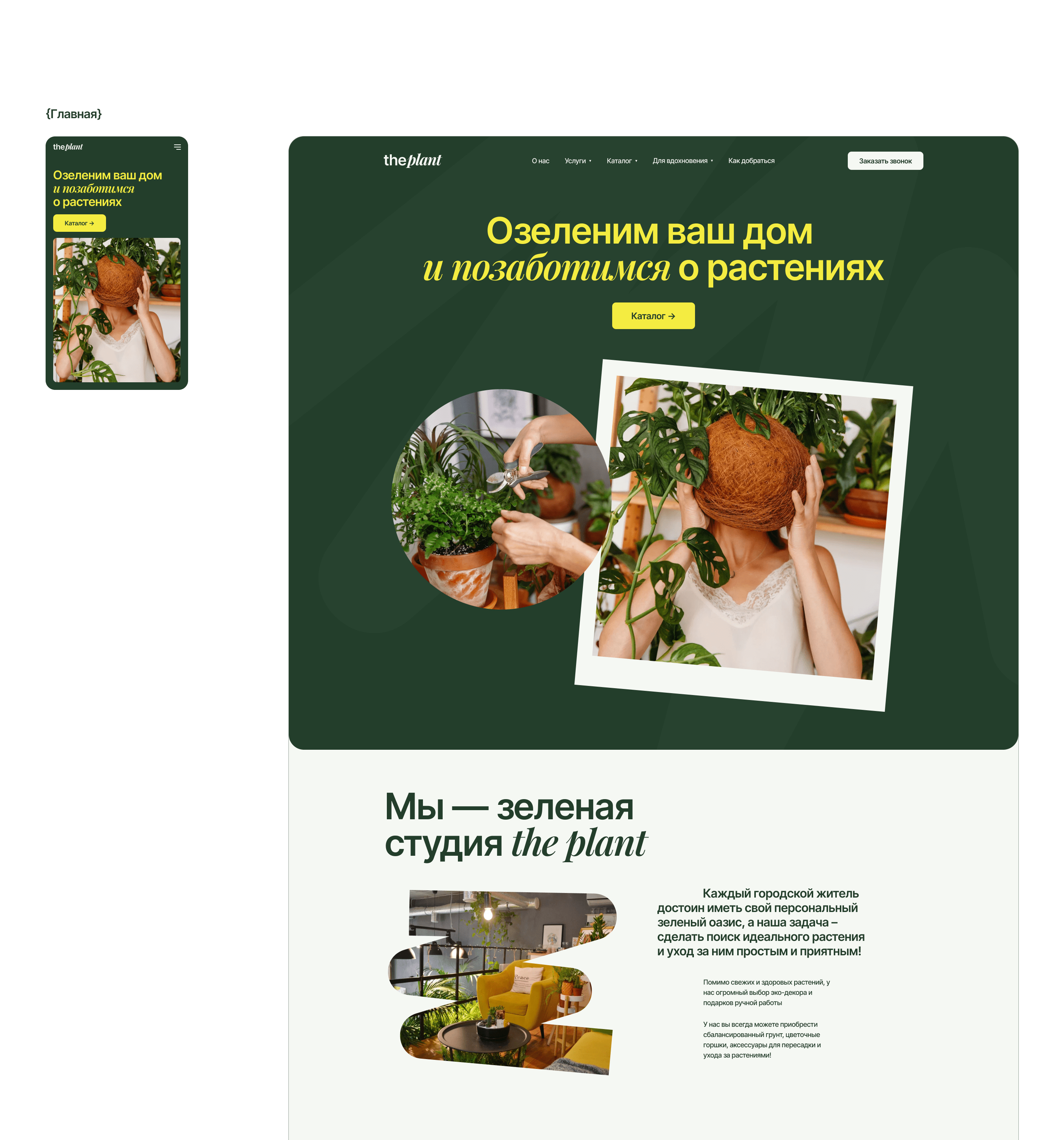 The Plants — интернет магазин комнатных растений — Изображение №3 — Интерфейсы на Dprofile