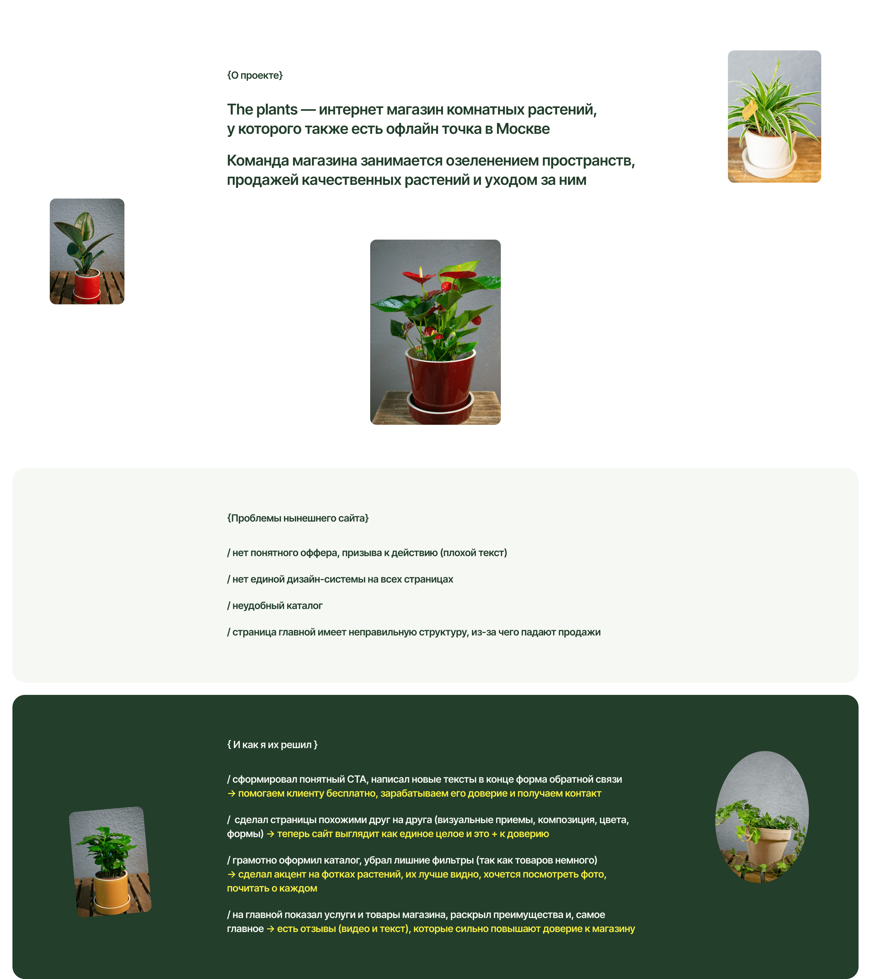 The Plants — интернет магазин комнатных растений — Изображение №2 — Интерфейсы на Dprofile