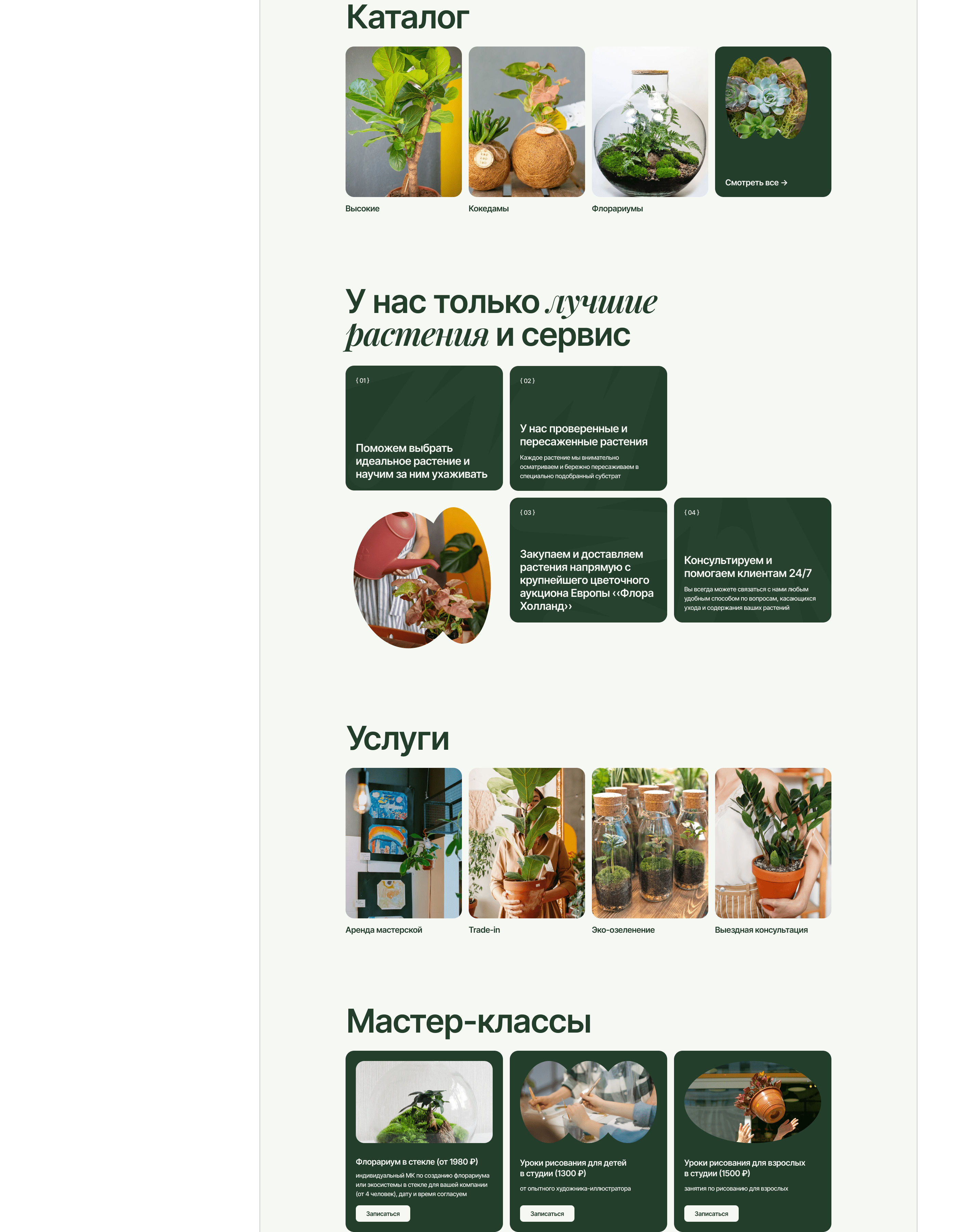 The Plants — интернет магазин комнатных растений — Изображение №4 — Интерфейсы на Dprofile