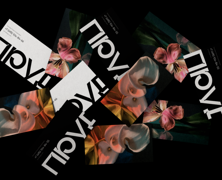 Пруд | Branding на Dprofile