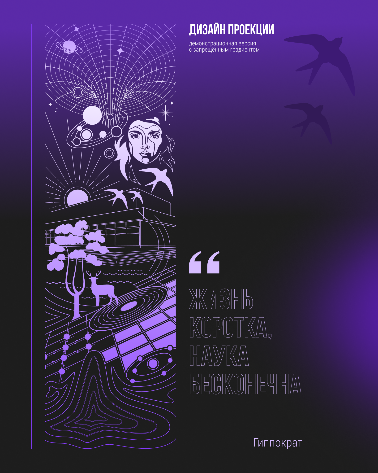 Черноголовка. Дизайн проекции — Изображение №6 — Иллюстрация на Dprofile