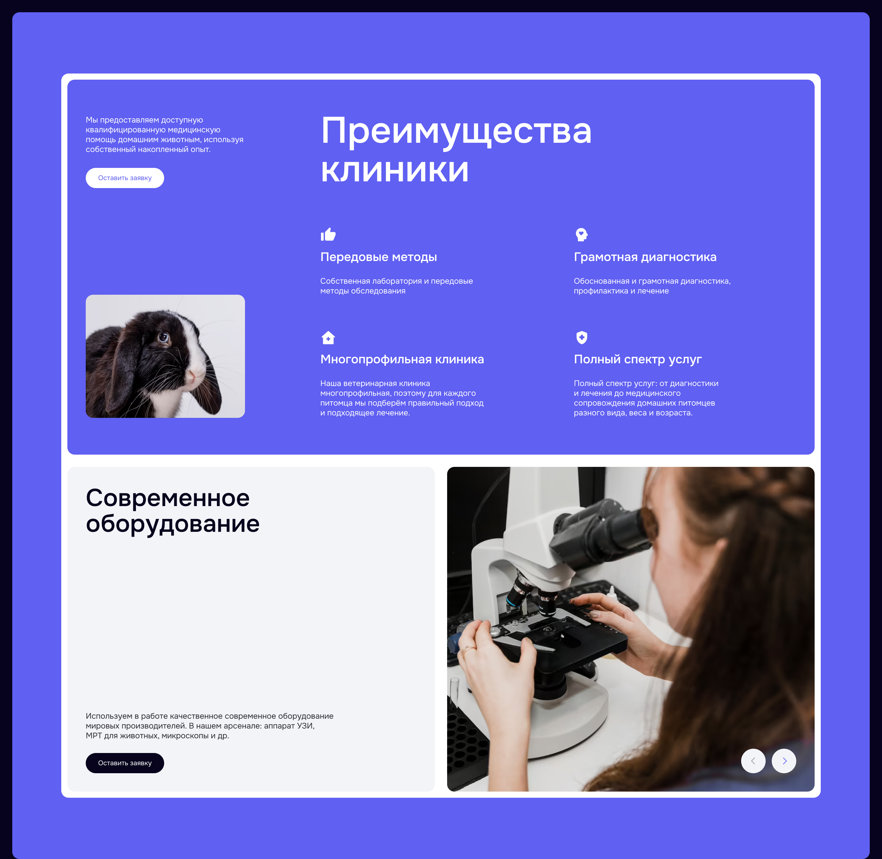 Лендинг для ветеринарной клиники — Изображение №7 — Интерфейсы на Dprofile