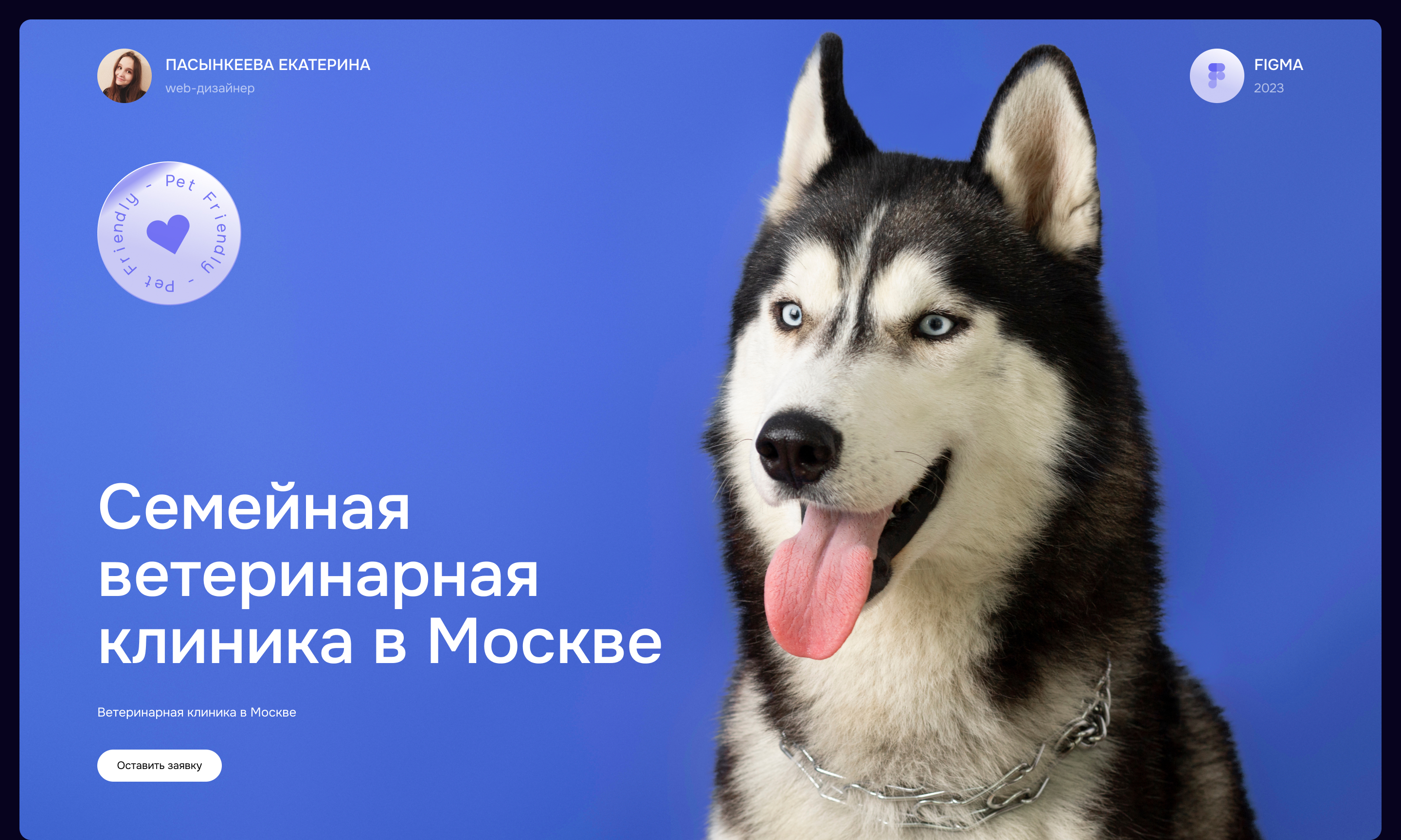 Лендинг для ветеринарной клиники — Изображение №1 — Интерфейсы на Dprofile