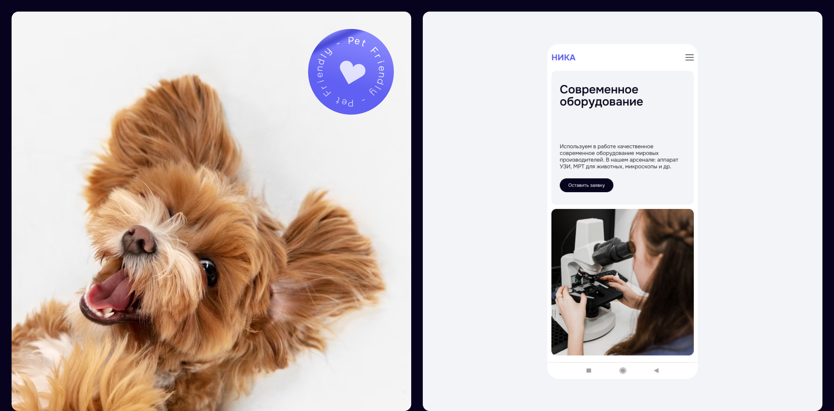 Лендинг для ветеринарной клиники — Изображение №8 — Интерфейсы на Dprofile
