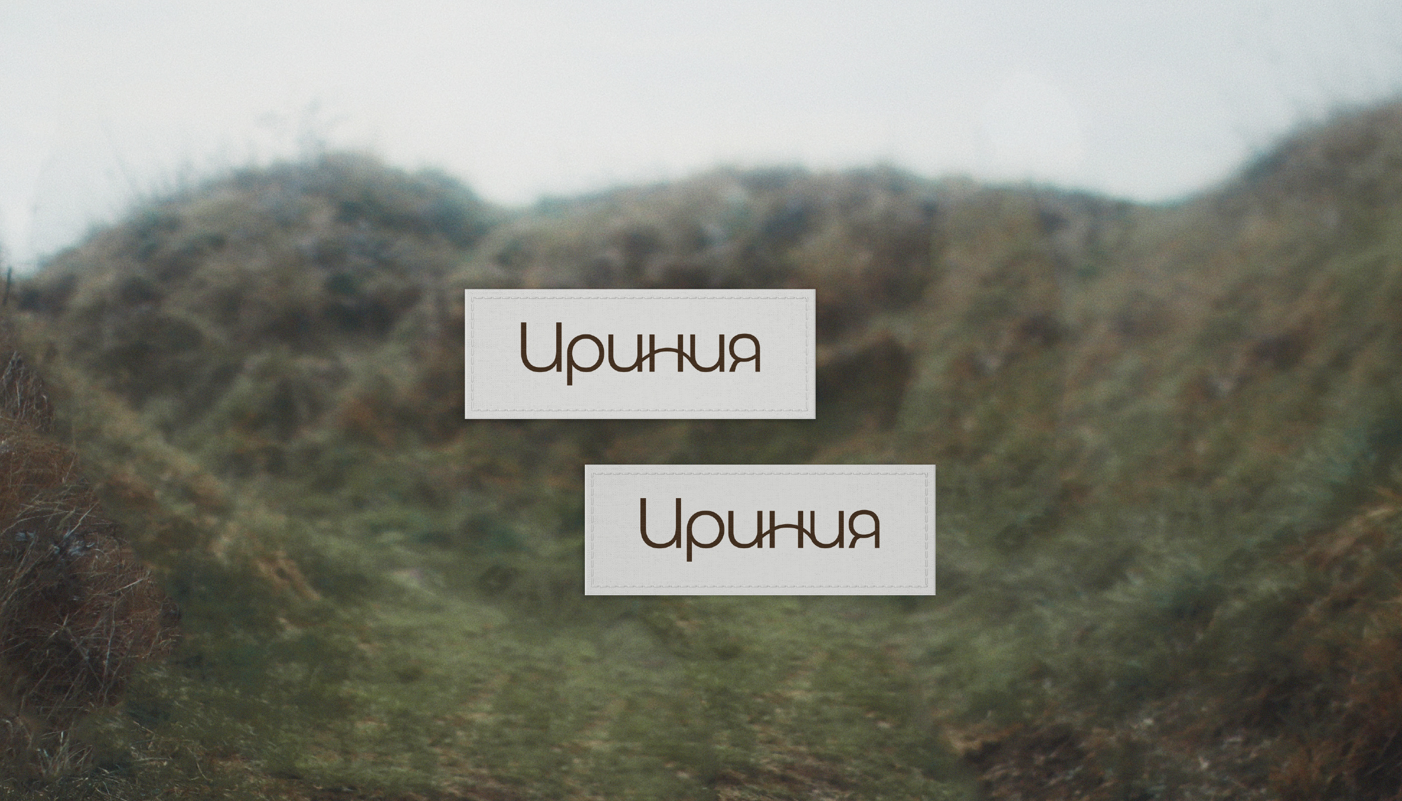 Нейминг и фирменный стиль для бренда одежды Ириния — Изображение №10 — Брендинг на Dprofile