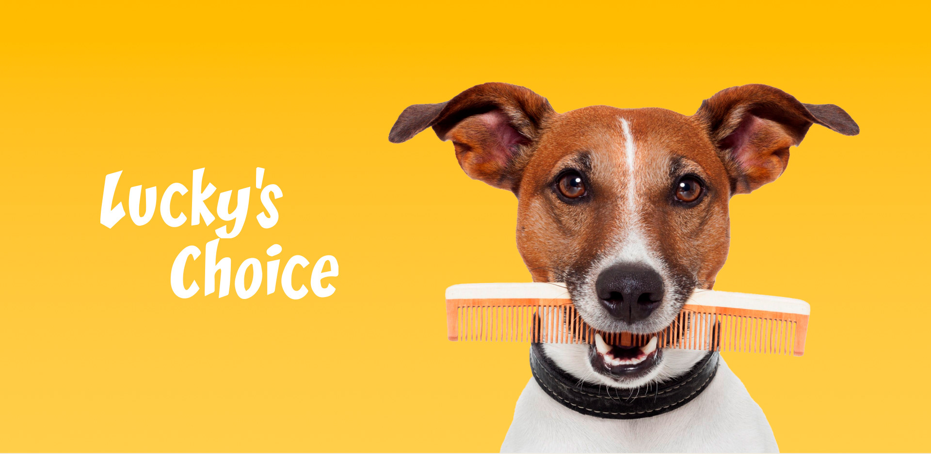 Lucky's Choice: website — Изображение №1 — Интерфейсы на Dprofile