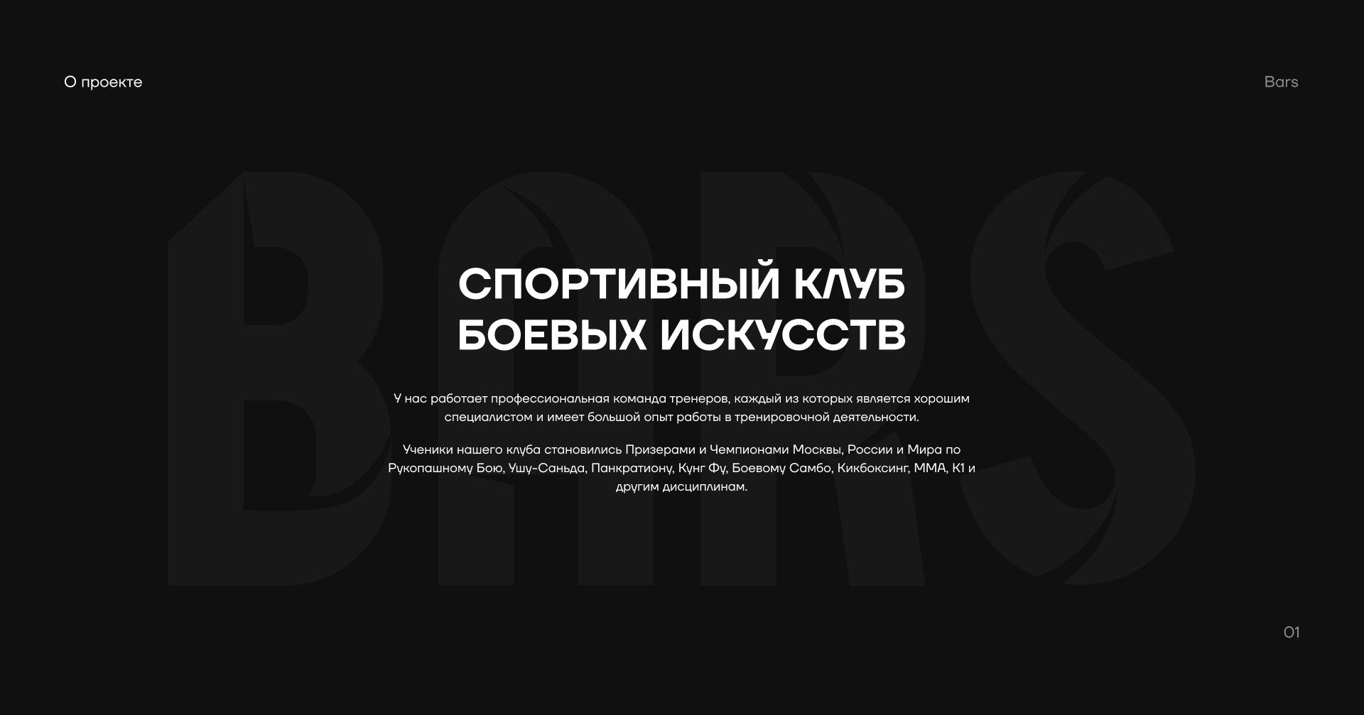 BARS: website — Изображение №1 — Интерфейсы на Dprofile