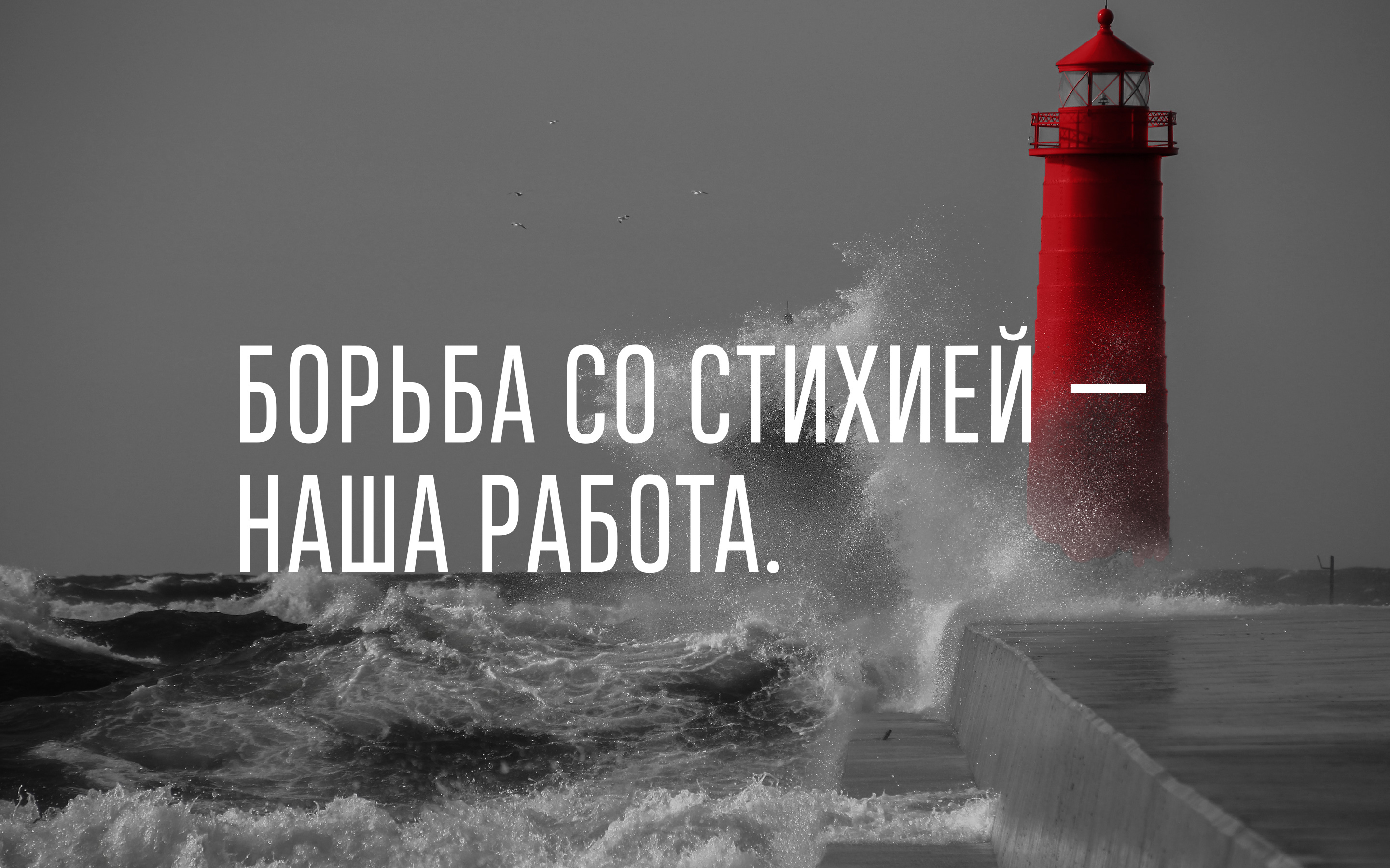 PENTRIMAX © INDUSTRIAL COATINGS BRANDING — Изображение №1 — Брендинг, Графика на Dprofile