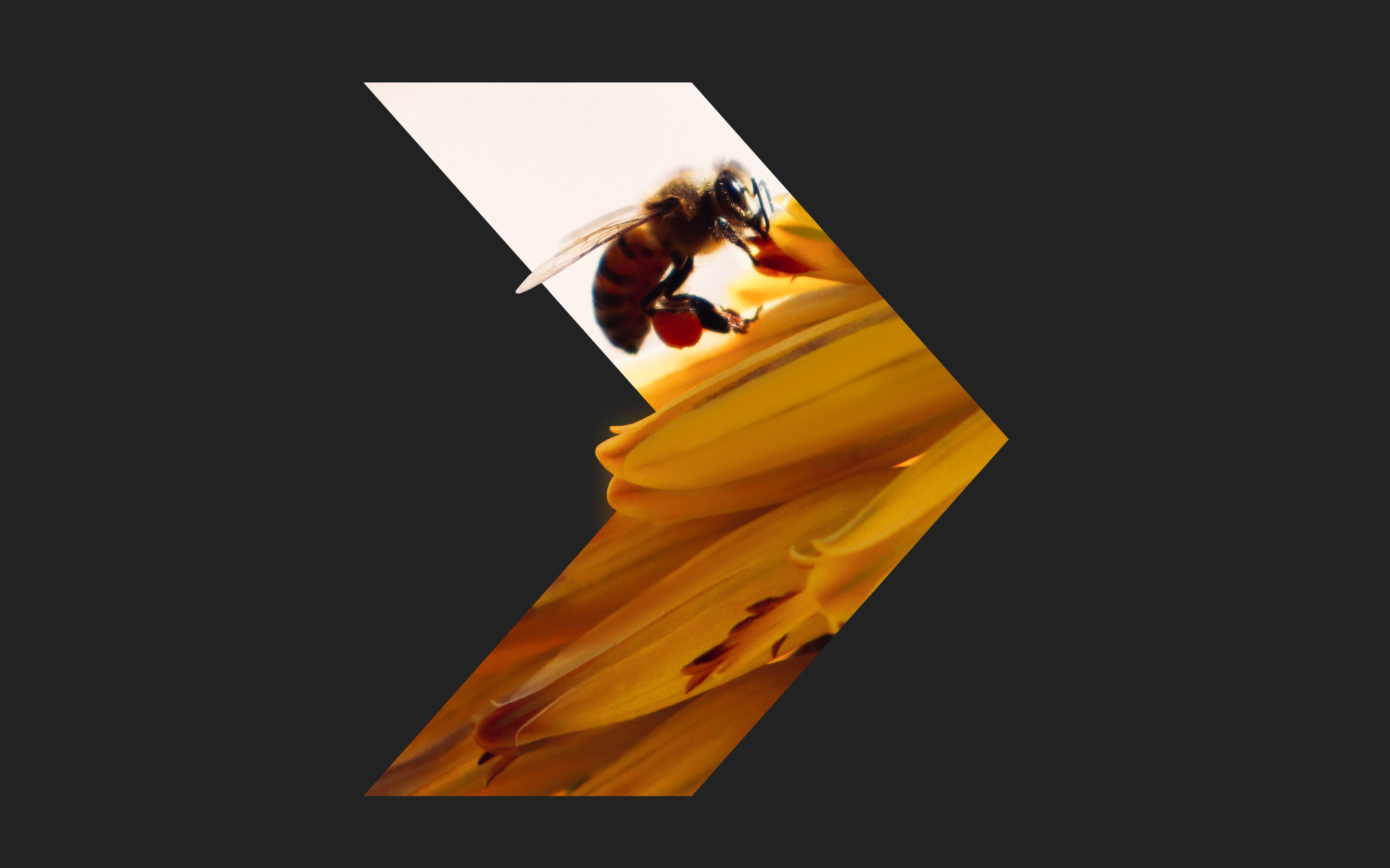 ROCKET BEE © VERSATILE HEAVY MACHINERY BRANDING — Изображение №7 — Брендинг, Графика на Dprofile