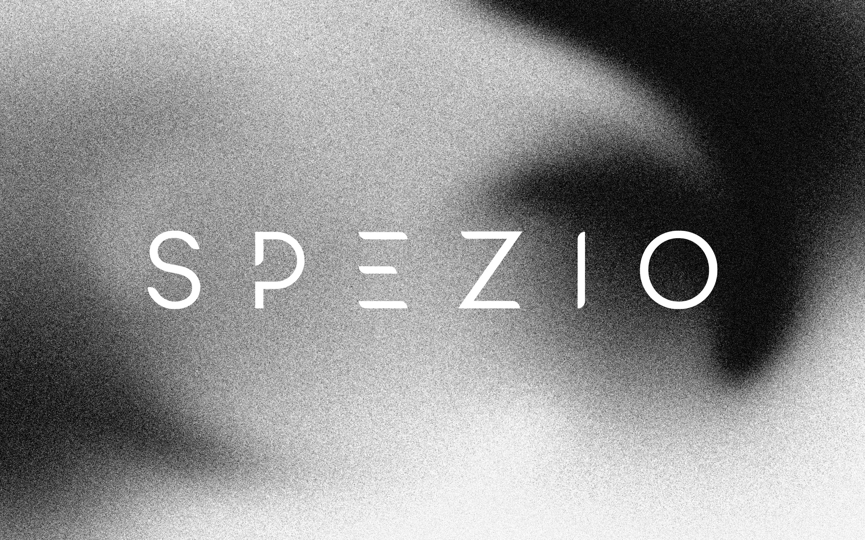 SPEZIO © BRANDING FOR FOOD INDUSTRY INGREDIENTS — Изображение №4 — Брендинг, Графика на Dprofile