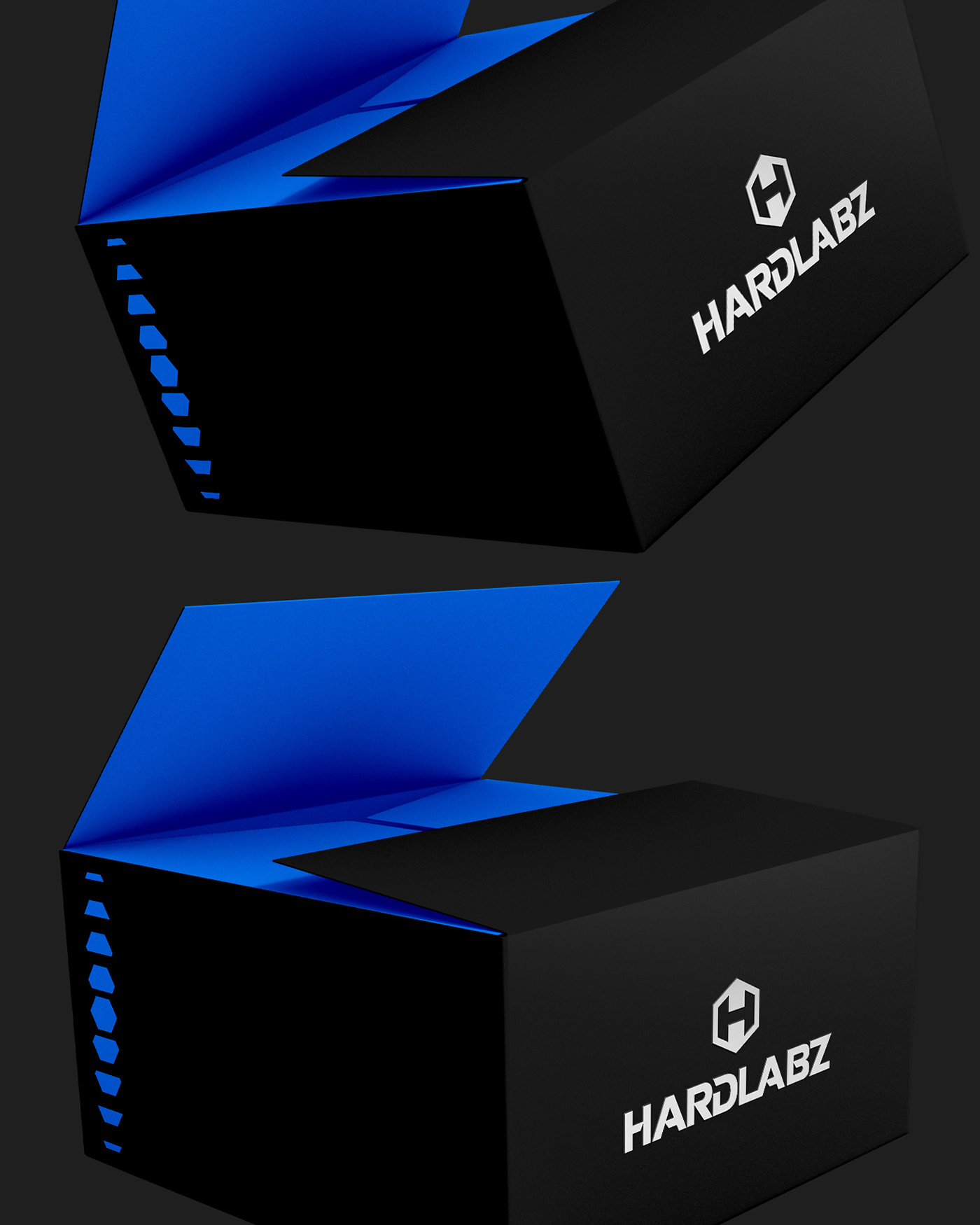HARDLABZ © NUTRITION AND SUPPLEMENT PACKAGING REDESIGN — Изображение №12 — Брендинг, Маркетинг на Dprofile