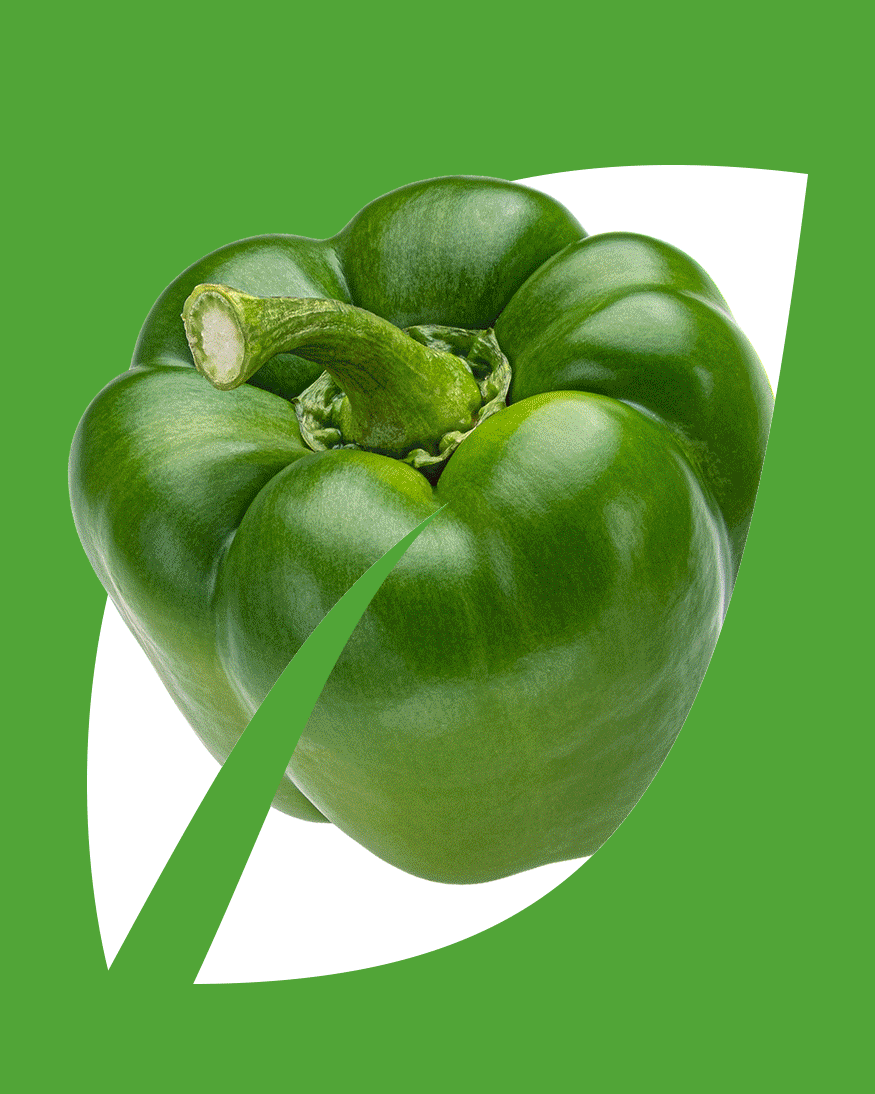 NATURWURZE © FOOD INGREDIENTS MANUFACTURER BRANDING — Изображение №5 — Брендинг, Графика на Dprofile