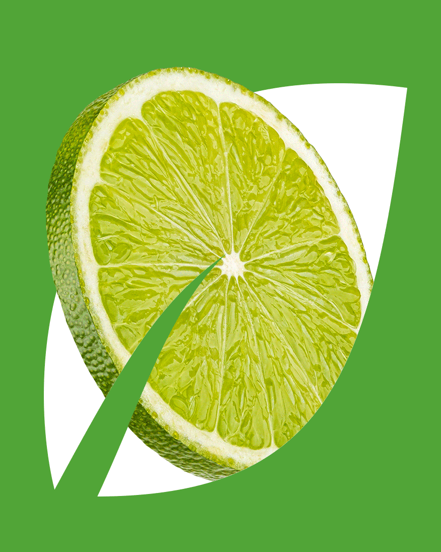 NATURWURZE © FOOD INGREDIENTS MANUFACTURER BRANDING — Изображение №12 — Брендинг, Графика на Dprofile