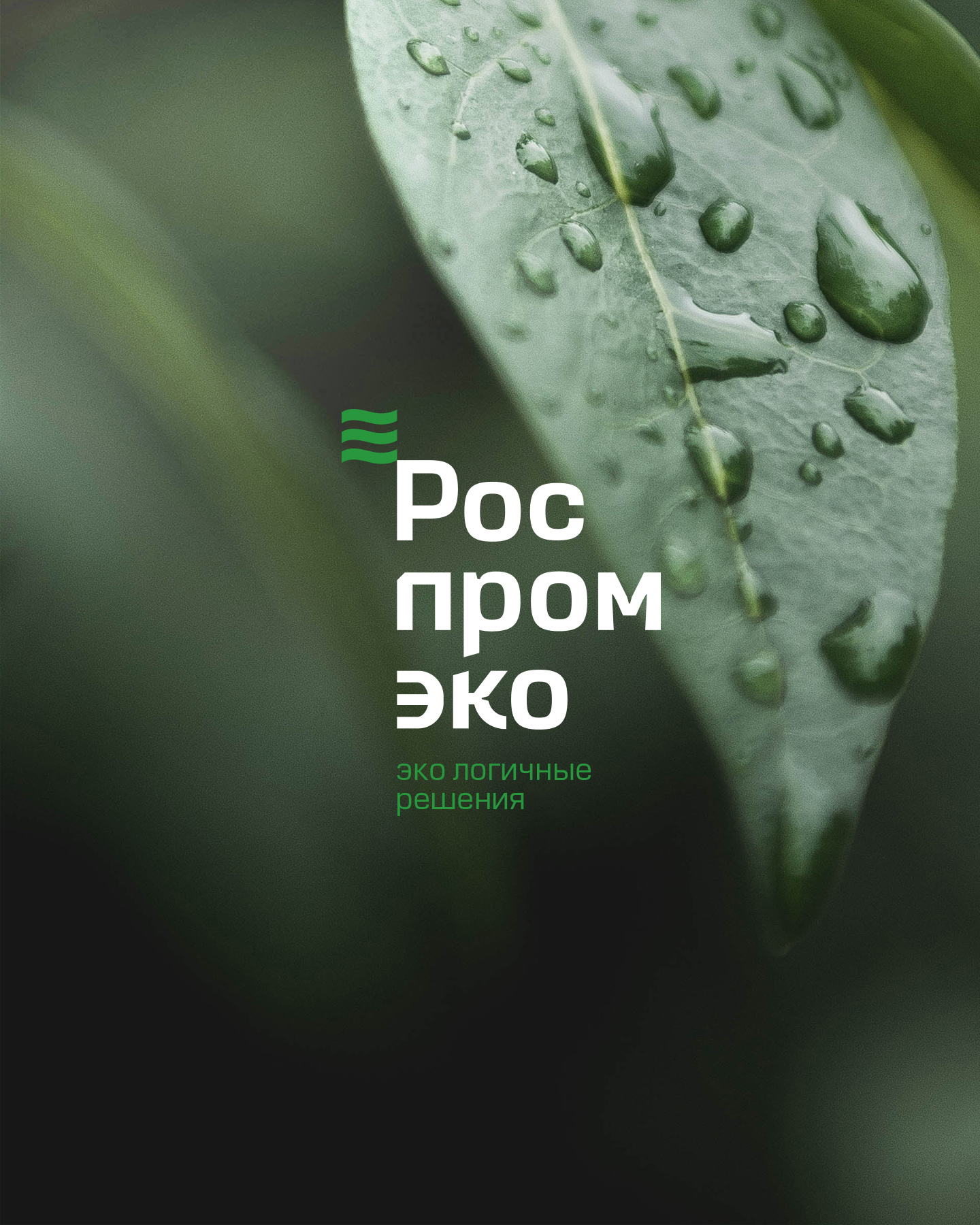 ROSPROMECO © LIQUID WASTE MANAGEMENT OPERATOR REDESIGN — Изображение №4 — Брендинг, Графика на Dprofile