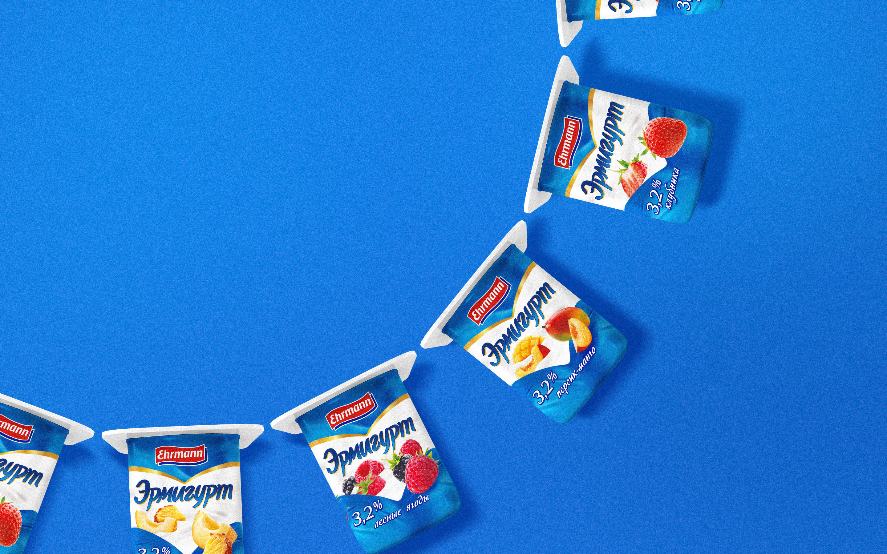 ERMIGURT EHRMANN © PACKAGING DESIGN LABEL DESIGN — Изображение №10 — Брендинг, Графика на Dprofile