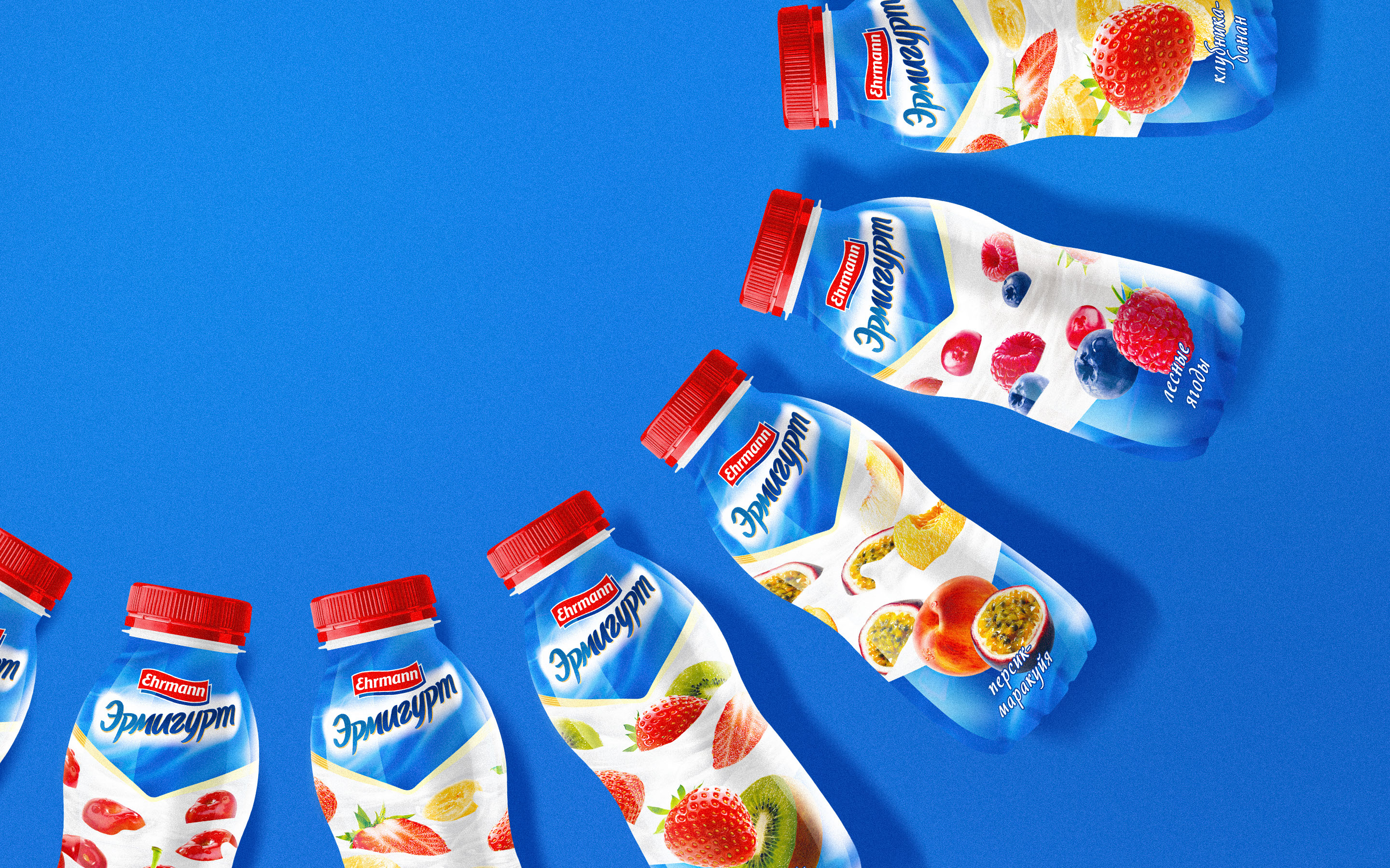 ERMIGURT EHRMANN © PACKAGING DESIGN LABEL DESIGN — Изображение №6 — Брендинг, Графика на Dprofile