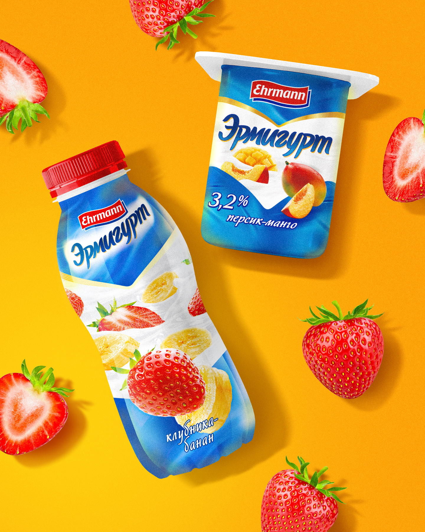 ERMIGURT EHRMANN © PACKAGING DESIGN LABEL DESIGN — Изображение №3 — Брендинг, Графика на Dprofile