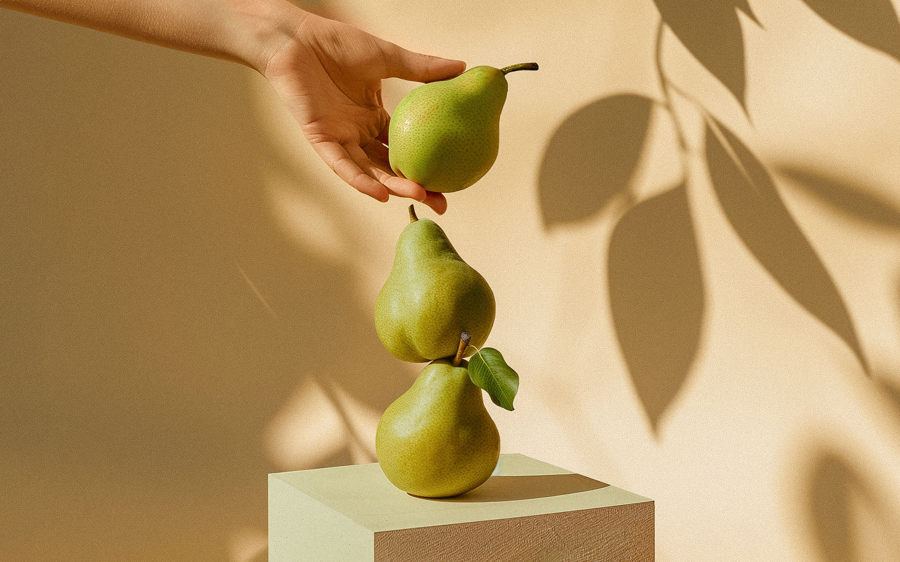 DELICIOUS PUDDING EHRMANN © PACKAGING DESIGN AND UPKEEP — Изображение №6 — Брендинг, Графика на Dprofile