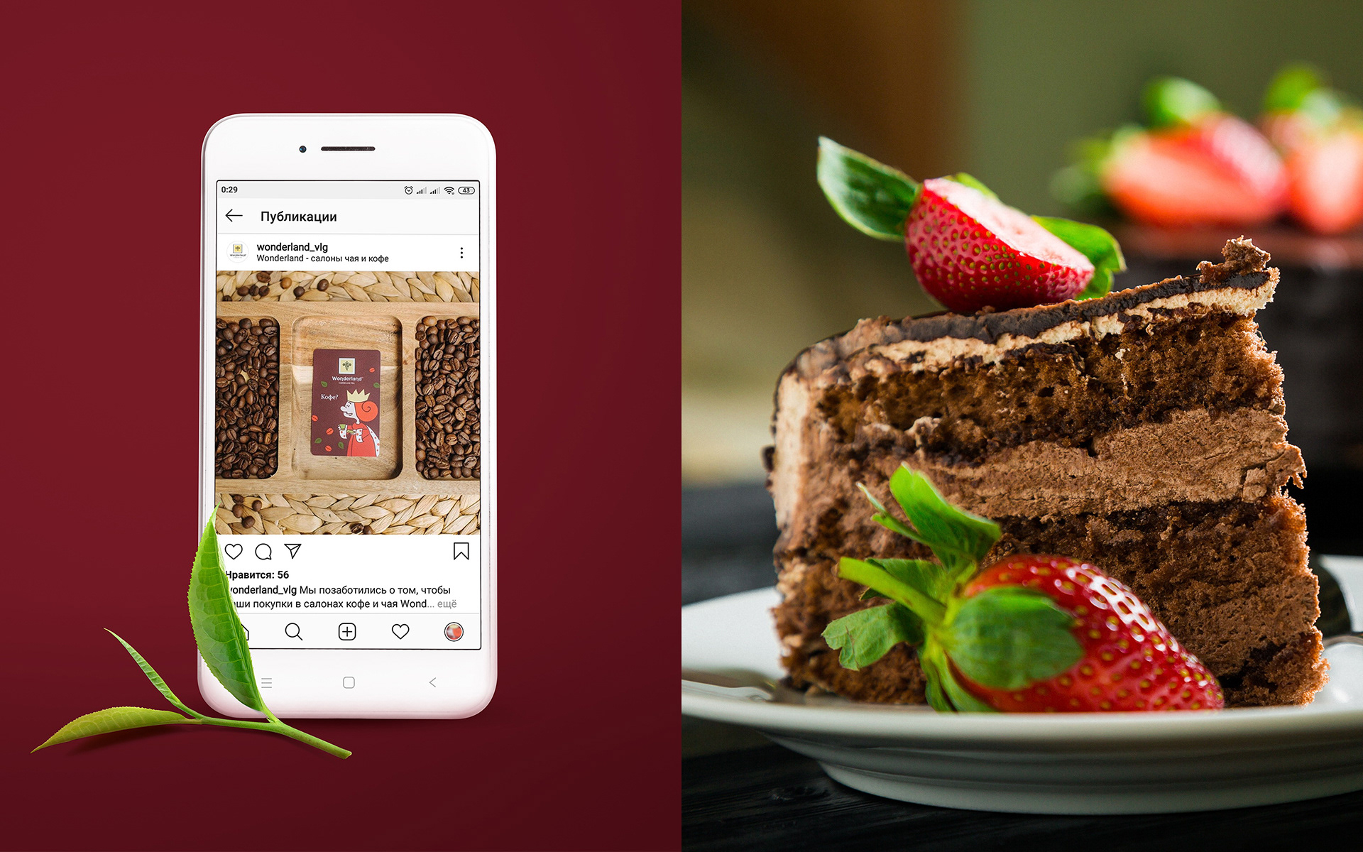 WONDERLAND © TEA&COFFEE CHAIN REBRANDING — Изображение №19 — Брендинг, Иллюстрация на Dprofile
