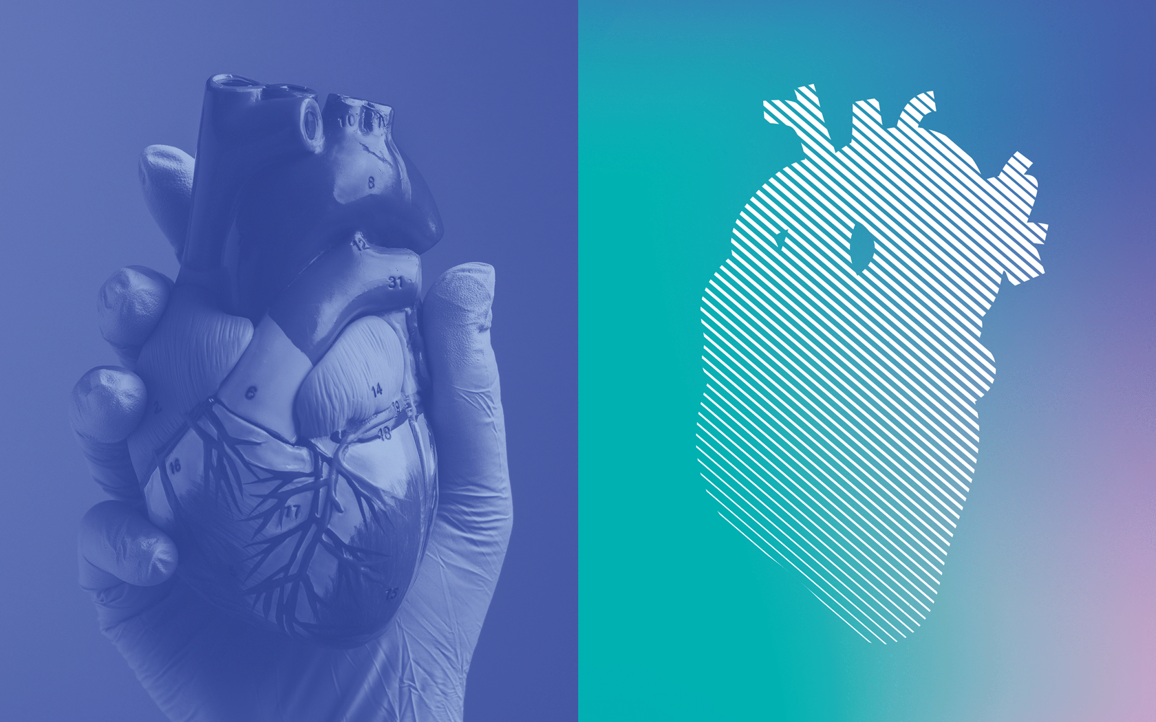 HEALTHY SYSTEM © MEDICAL CLINICS BRANDING AND POSITIONING — Изображение №9 — Брендинг на Dprofile