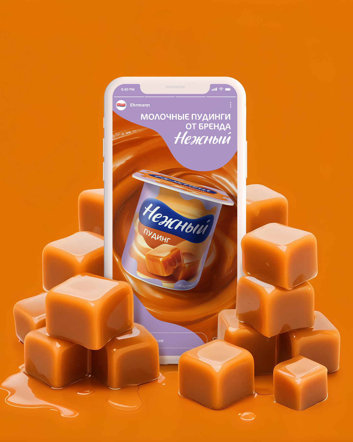 PUDDING NEZHNY EHRMANN © KEY VISUAL — Изображение №3 — Брендинг, Маркетинг на Dprofile
