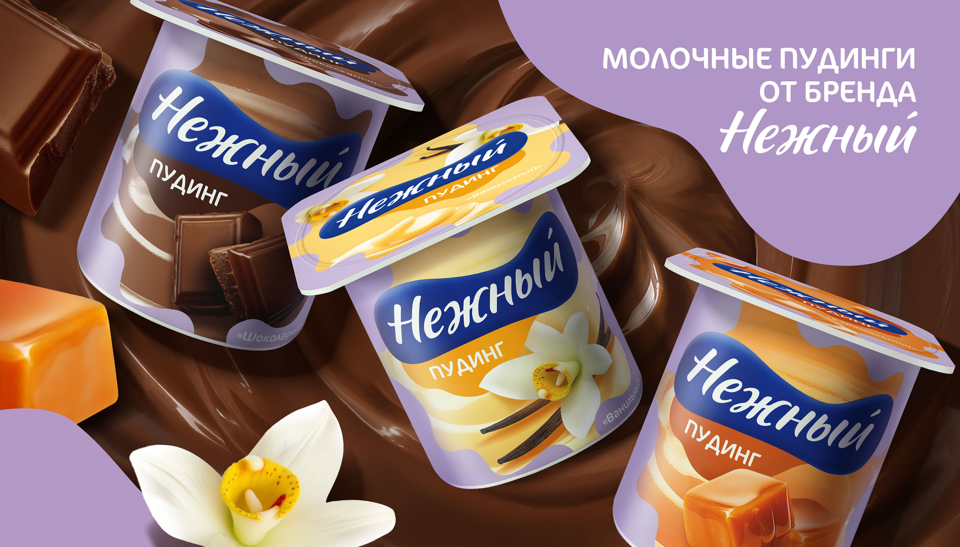 PUDDING NEZHNY EHRMANN © KEY VISUAL — Изображение №12 — Брендинг, Маркетинг на Dprofile