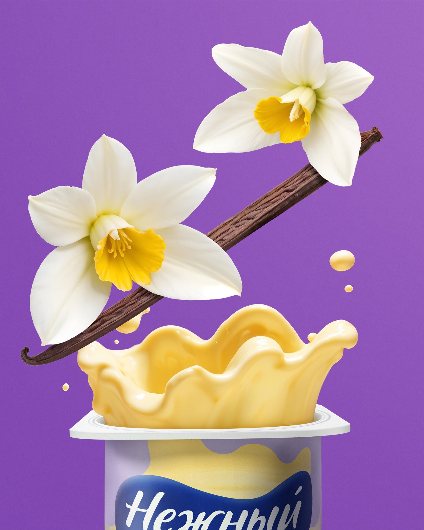 PUDDING NEZHNY EHRMANN©FMCG BRANDING,PACKAGING,LABEL DESIGN — Изображение №4 — Брендинг, Графика на Dprofile
