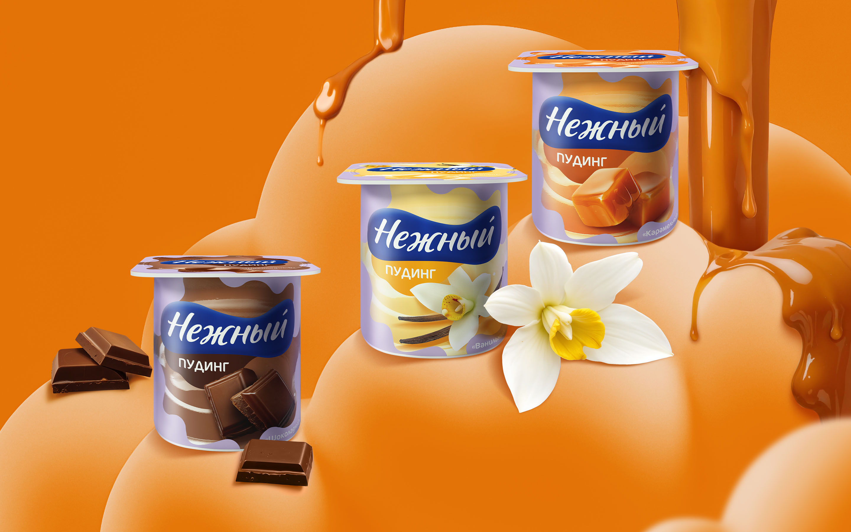 PUDDING NEZHNY EHRMANN©FMCG BRANDING,PACKAGING,LABEL DESIGN — Изображение №6 — Брендинг, Графика на Dprofile