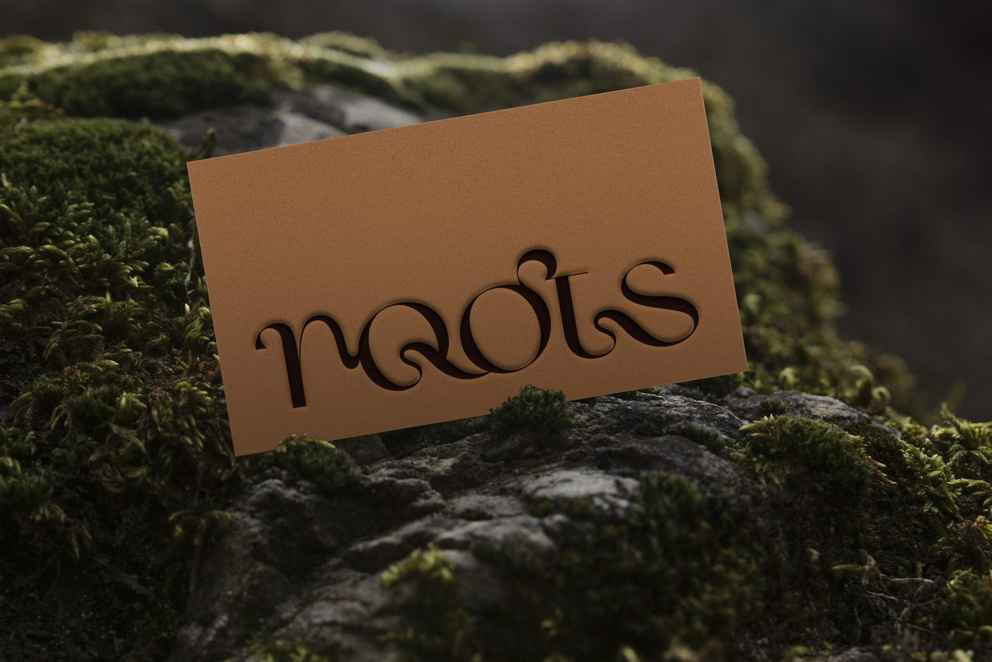 Roots / Identity — natural hair cosmetics — Изображение №5 — Брендинг на Dprofile