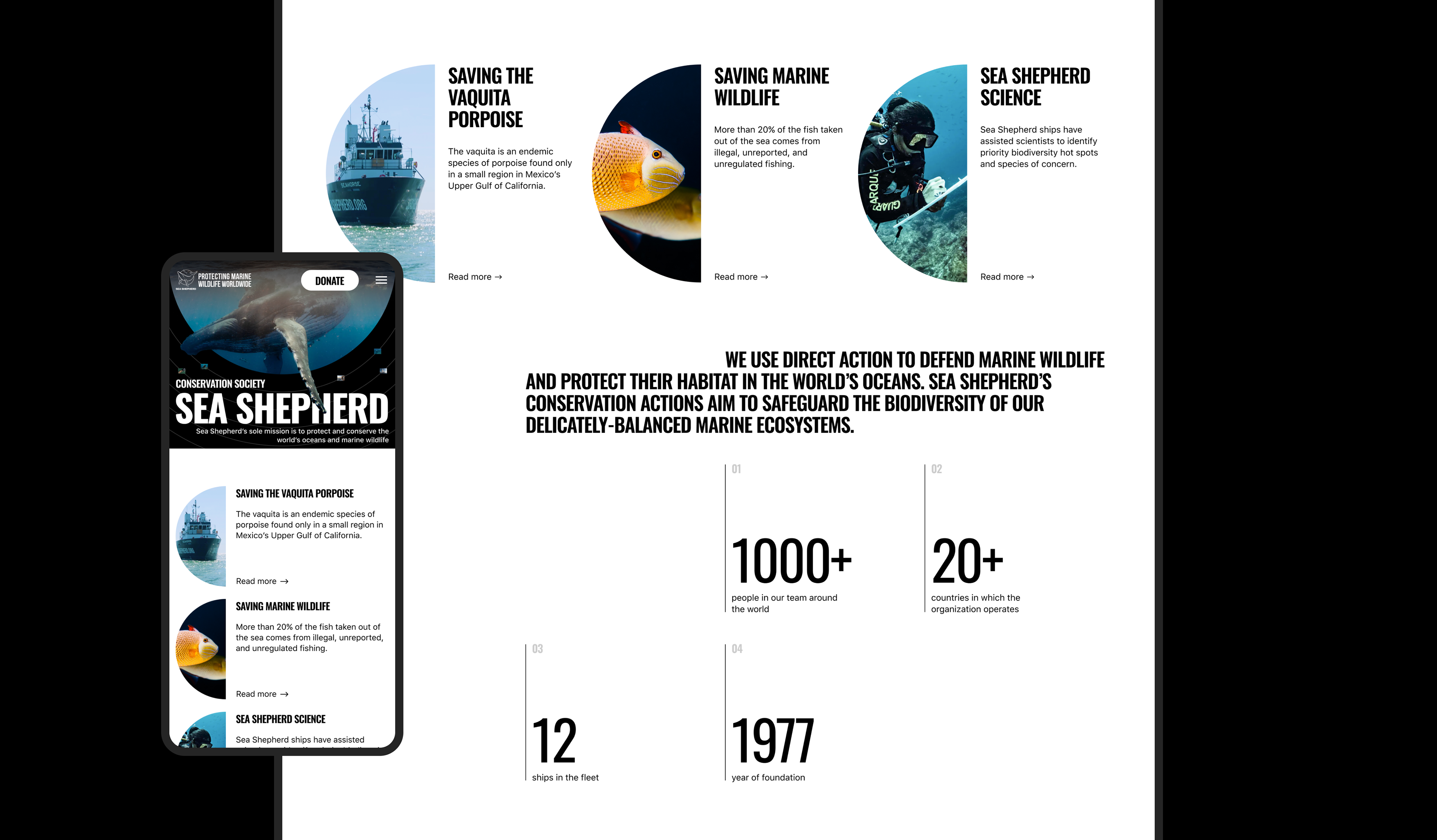 Sea Shepherd | Корпоративный сайт — Изображение №2 — Интерфейсы, Анимация на Dprofile