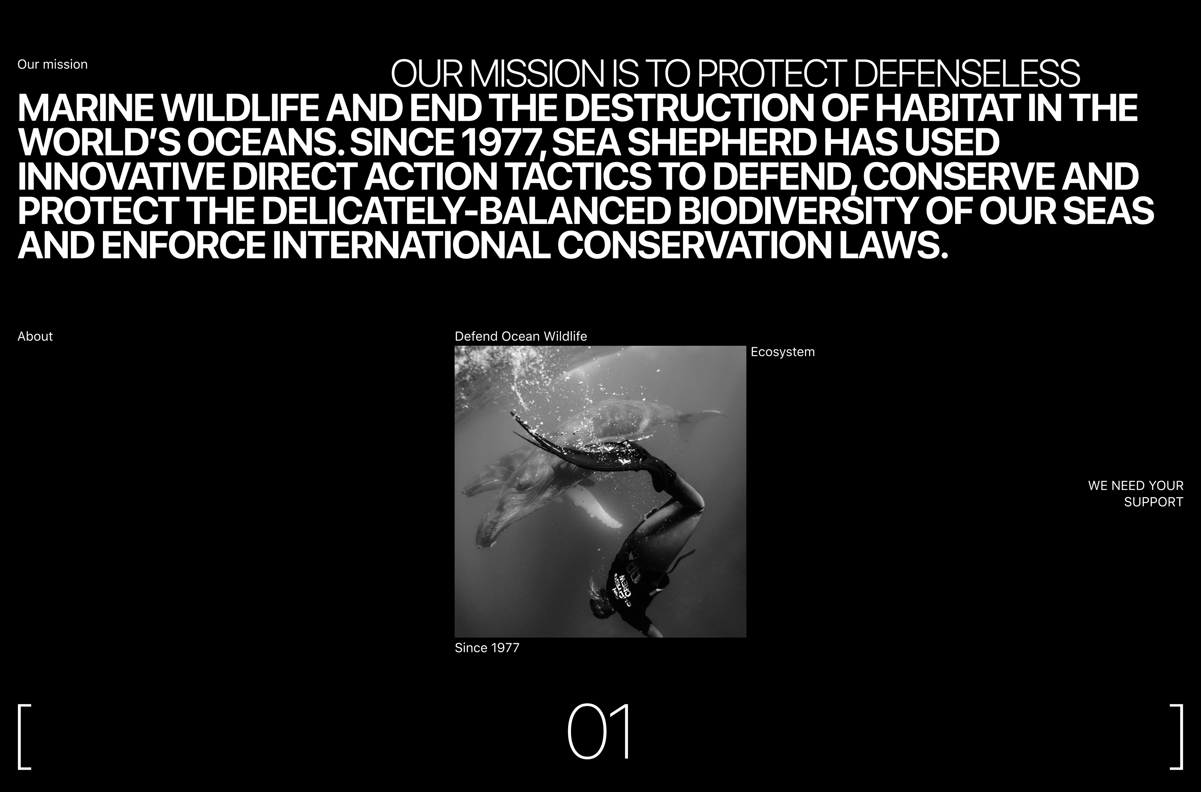 Sea Shepherd | Корпоративный сайт — Изображение №6 — Интерфейсы, Анимация на Dprofile