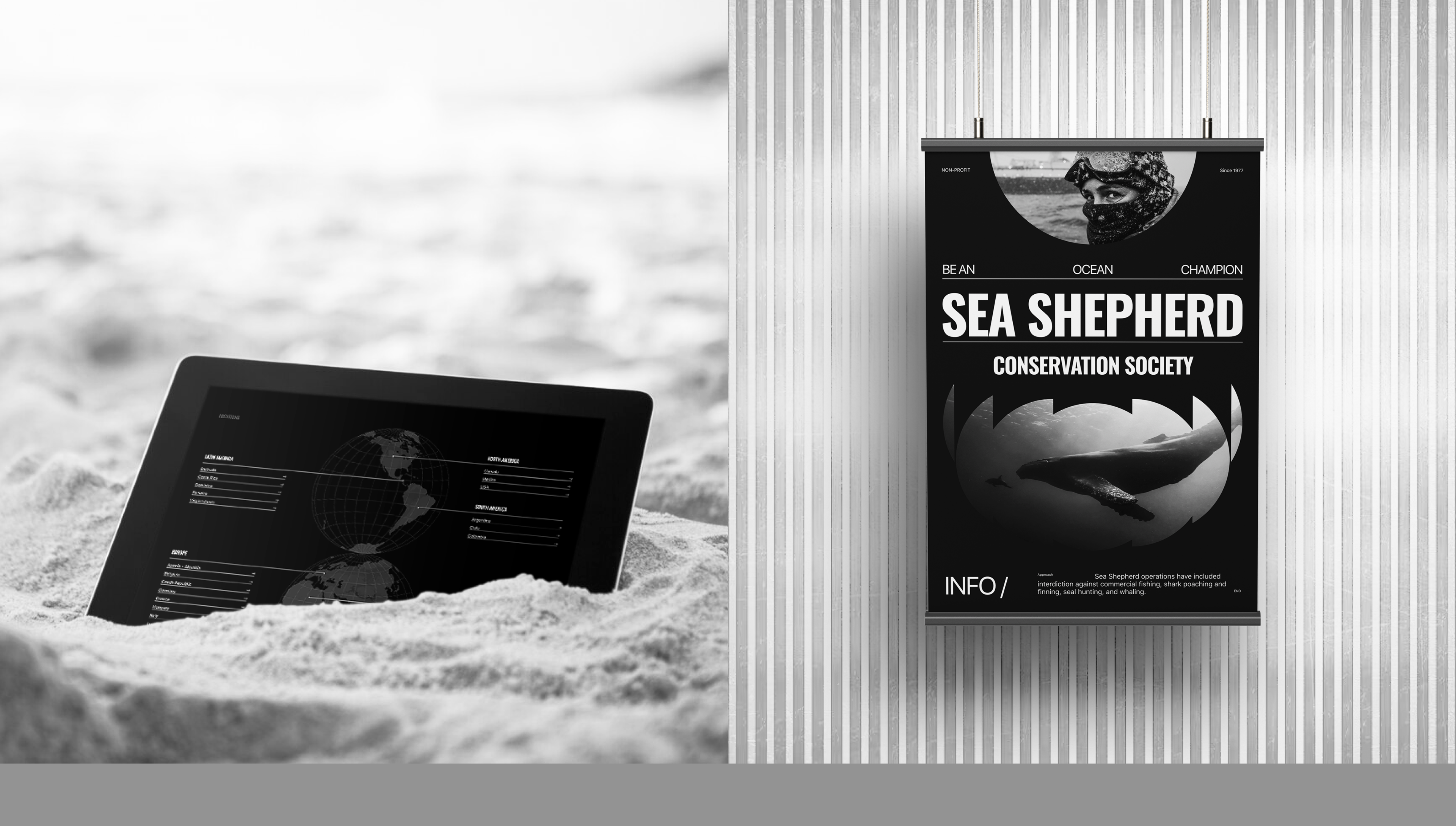 Sea Shepherd | Корпоративный сайт — Изображение №7 — Интерфейсы, Анимация на Dprofile