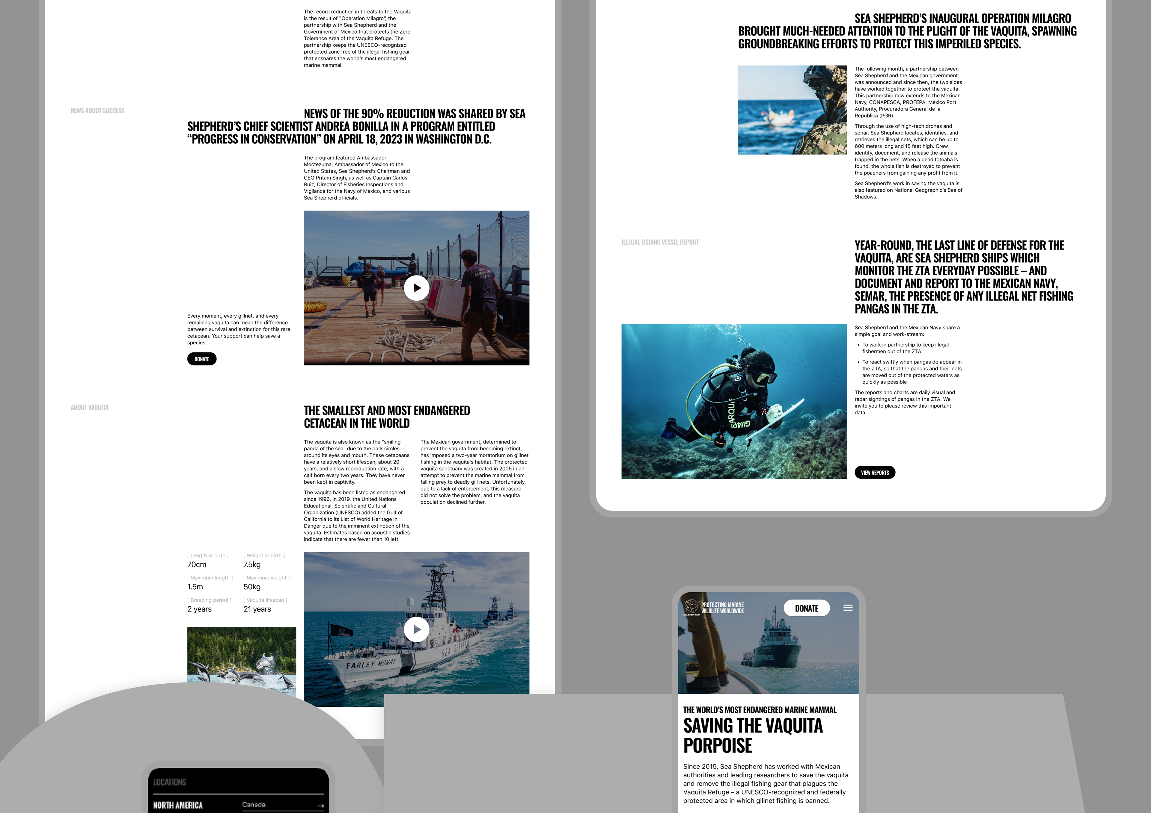Sea Shepherd | Корпоративный сайт — Изображение №8 — Интерфейсы, Анимация на Dprofile