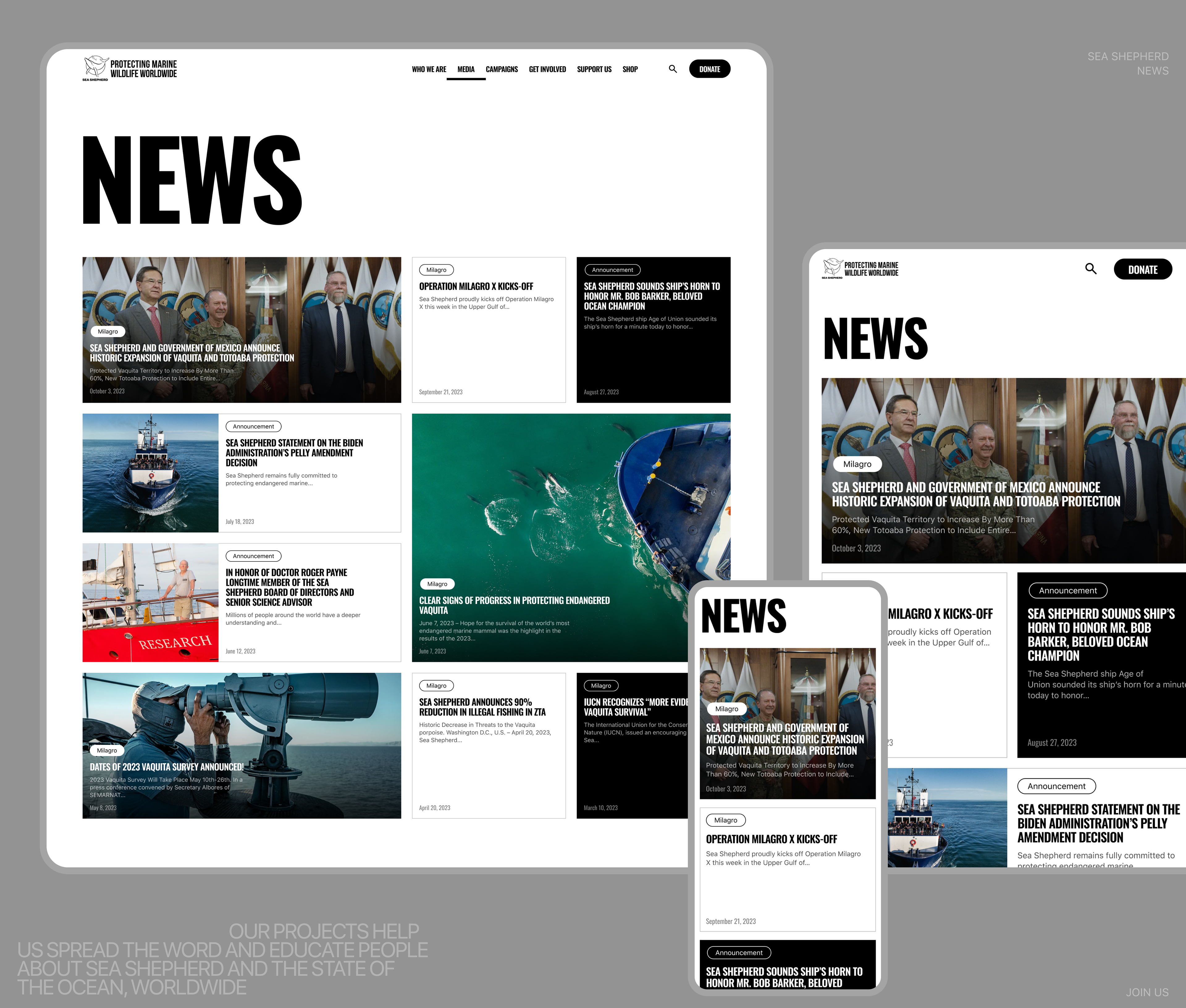 Sea Shepherd | Корпоративный сайт — Изображение №10 — Интерфейсы, Анимация на Dprofile