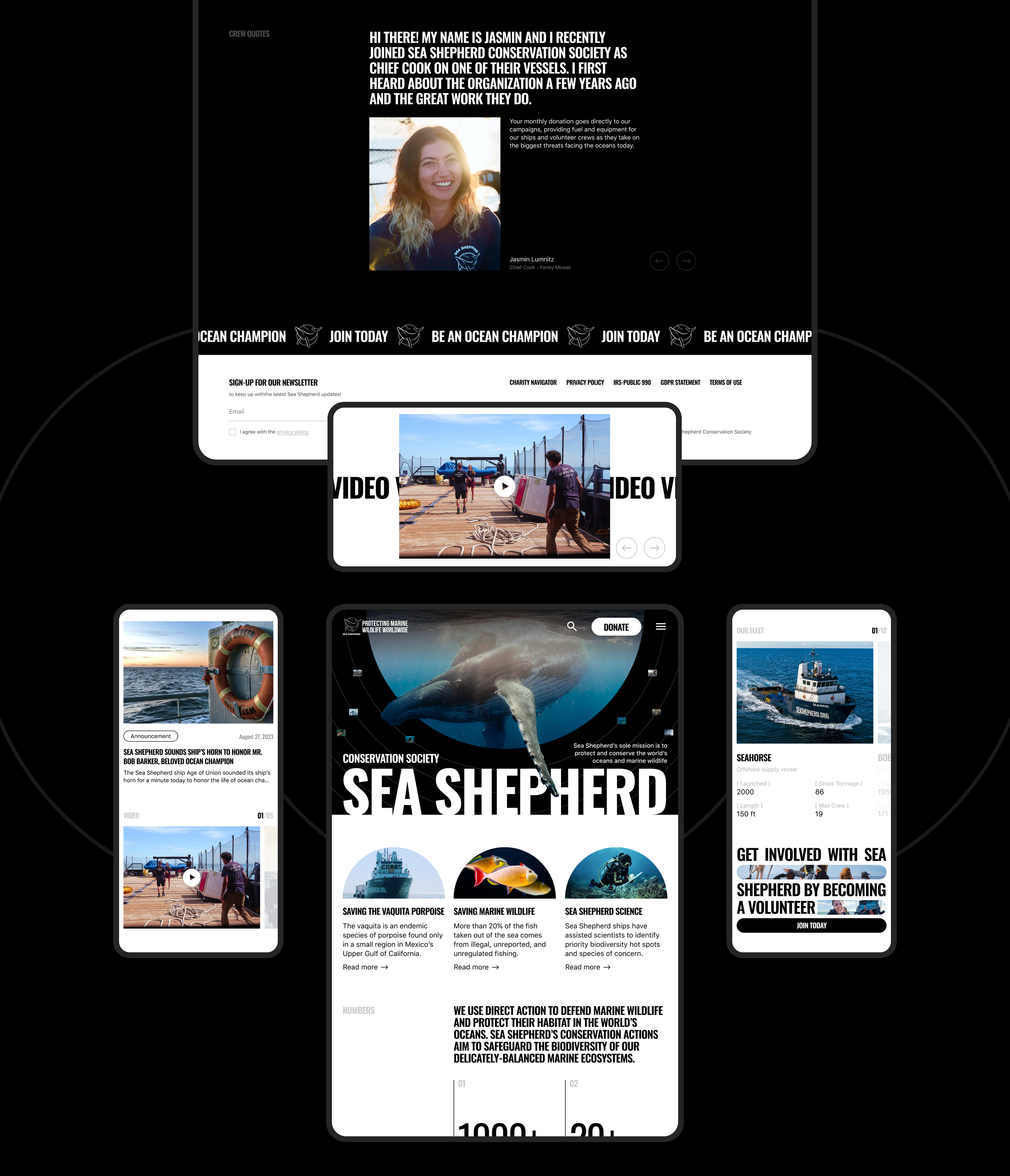 Sea Shepherd | Корпоративный сайт — Изображение №5 — Интерфейсы, Анимация на Dprofile