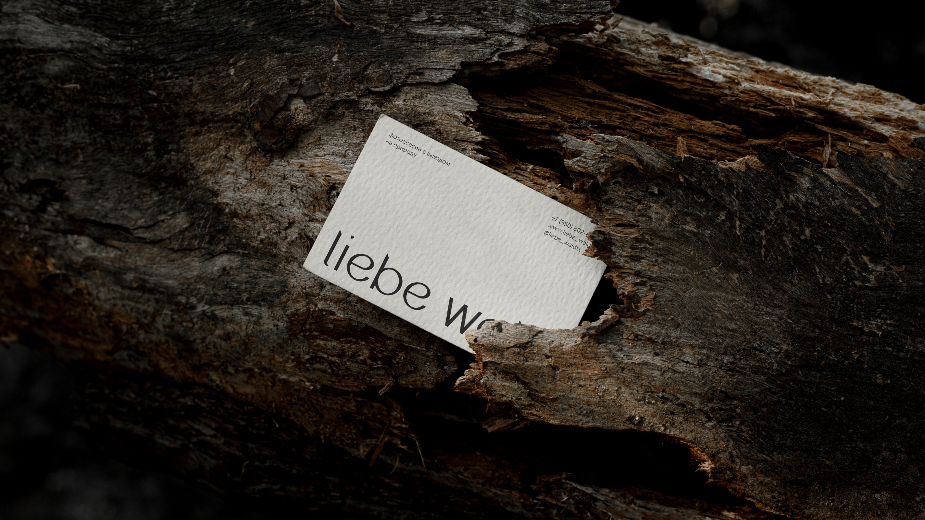 LIEBE WALD / photo studio / visual identity — Изображение №3 — Брендинг на Dprofile