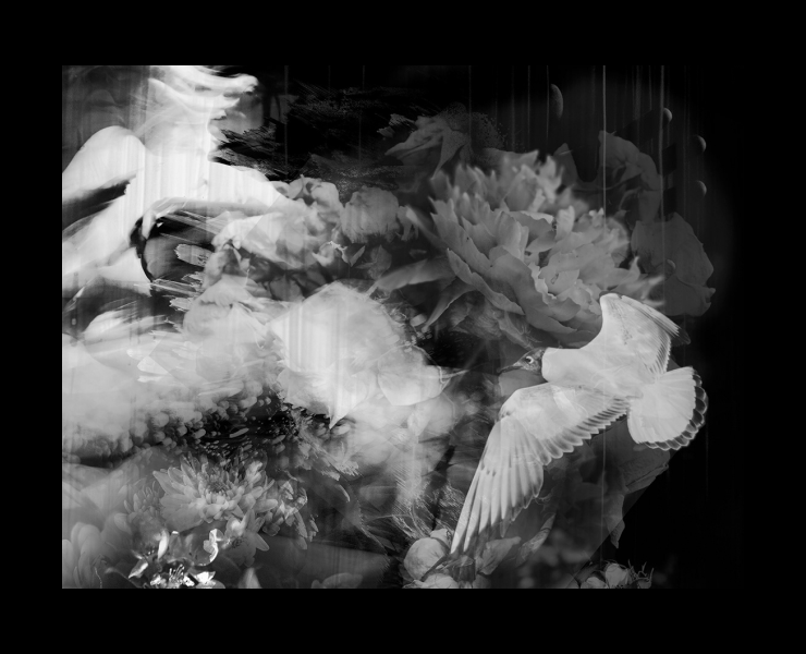 Абстрактный коллаж 2019 — Графика на Dprofile