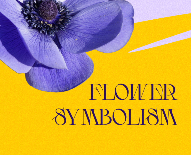 Flower symbolism — Интерфейсы на Dprofile