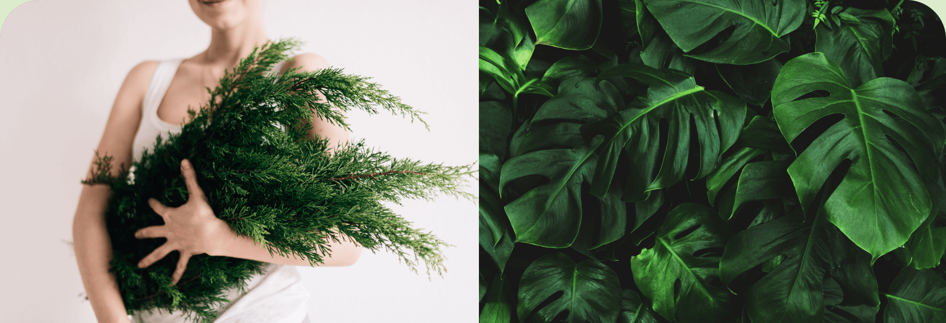 Mobile App | Plant Care — Изображение №3 — Интерфейсы на Dprofile