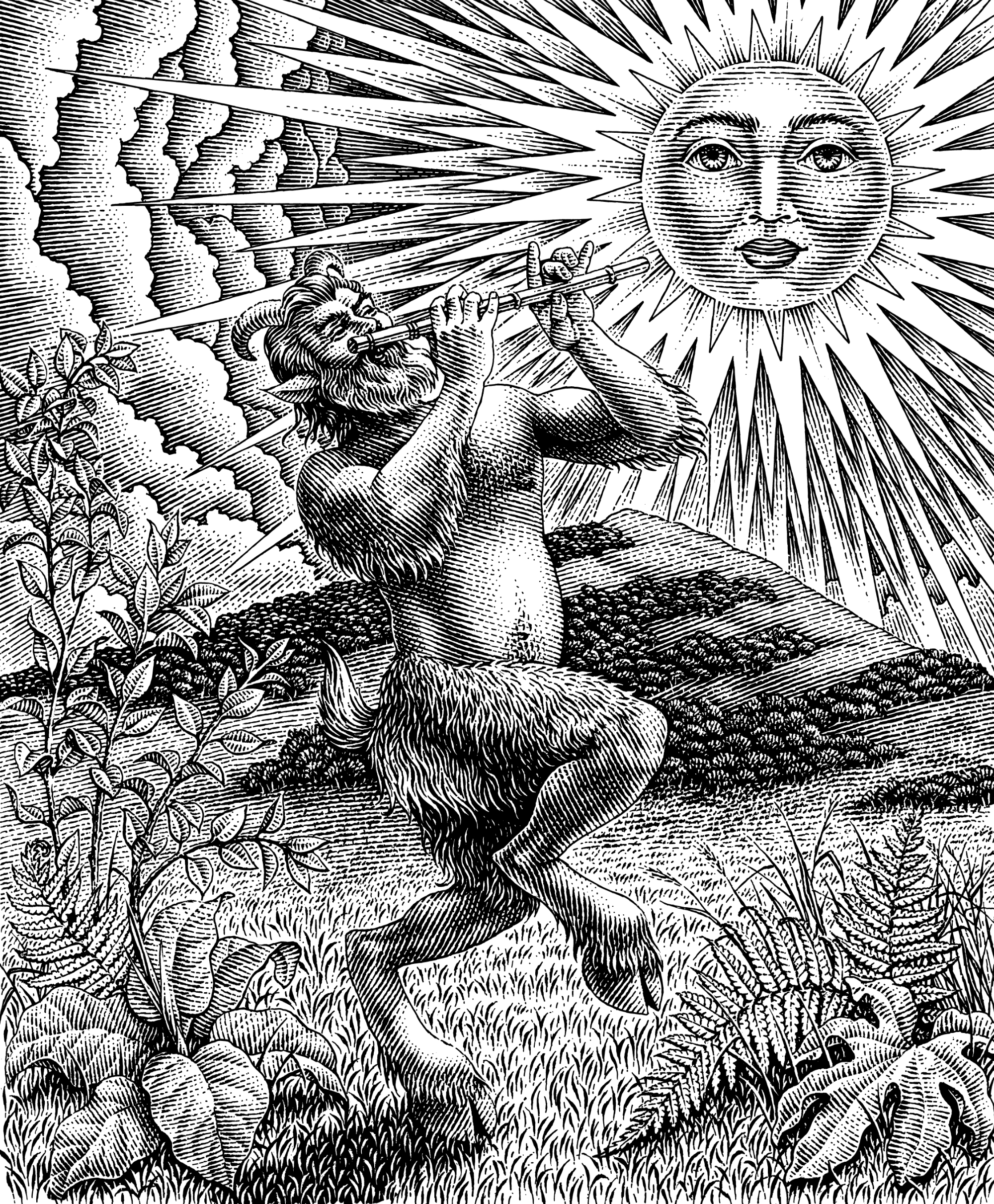 Гравюрные иллюстрации для коллекции вин Makitra Selection — Изображение №7 — Брендинг, Иллюстрация на Dprofile