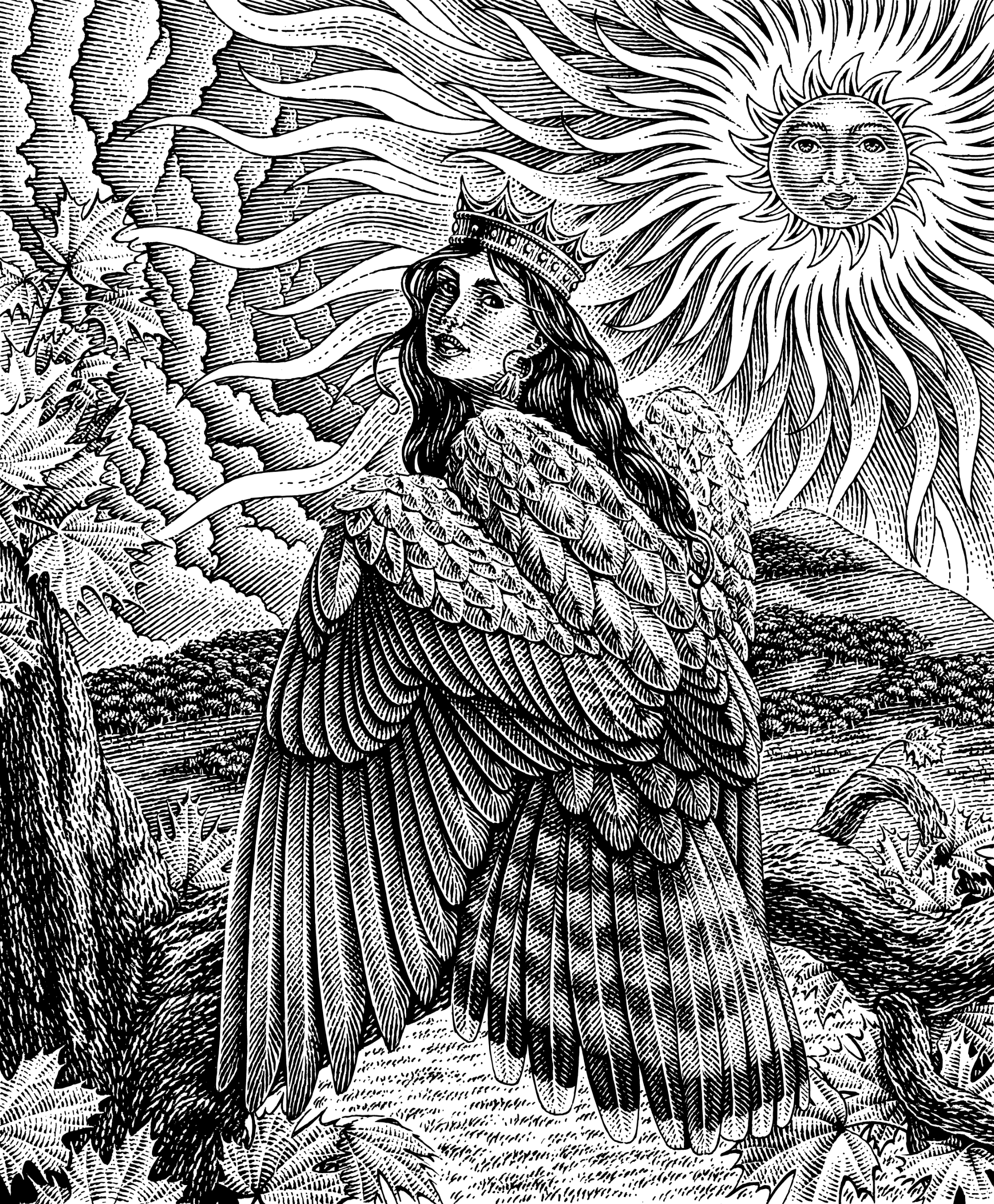 Гравюрные иллюстрации для коллекции вин Makitra Selection — Изображение №8 — Брендинг, Иллюстрация на Dprofile