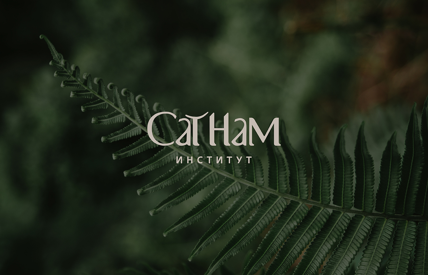 Фирменный стиль для Института йоги СатНам — Изображение №9 — Брендинг на Dprofile